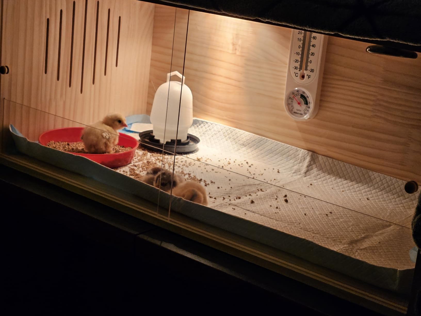 Large Wooden Chicken Brooder Box with Bulb Set and Thermometer - Brooder Box for Chicks Indoor Accommodates Up to 12 Chicks - Ideal for Chickens, Ducks, Quails, Hamsters, and Lizards (32x16x16 Inches) customer photo 2