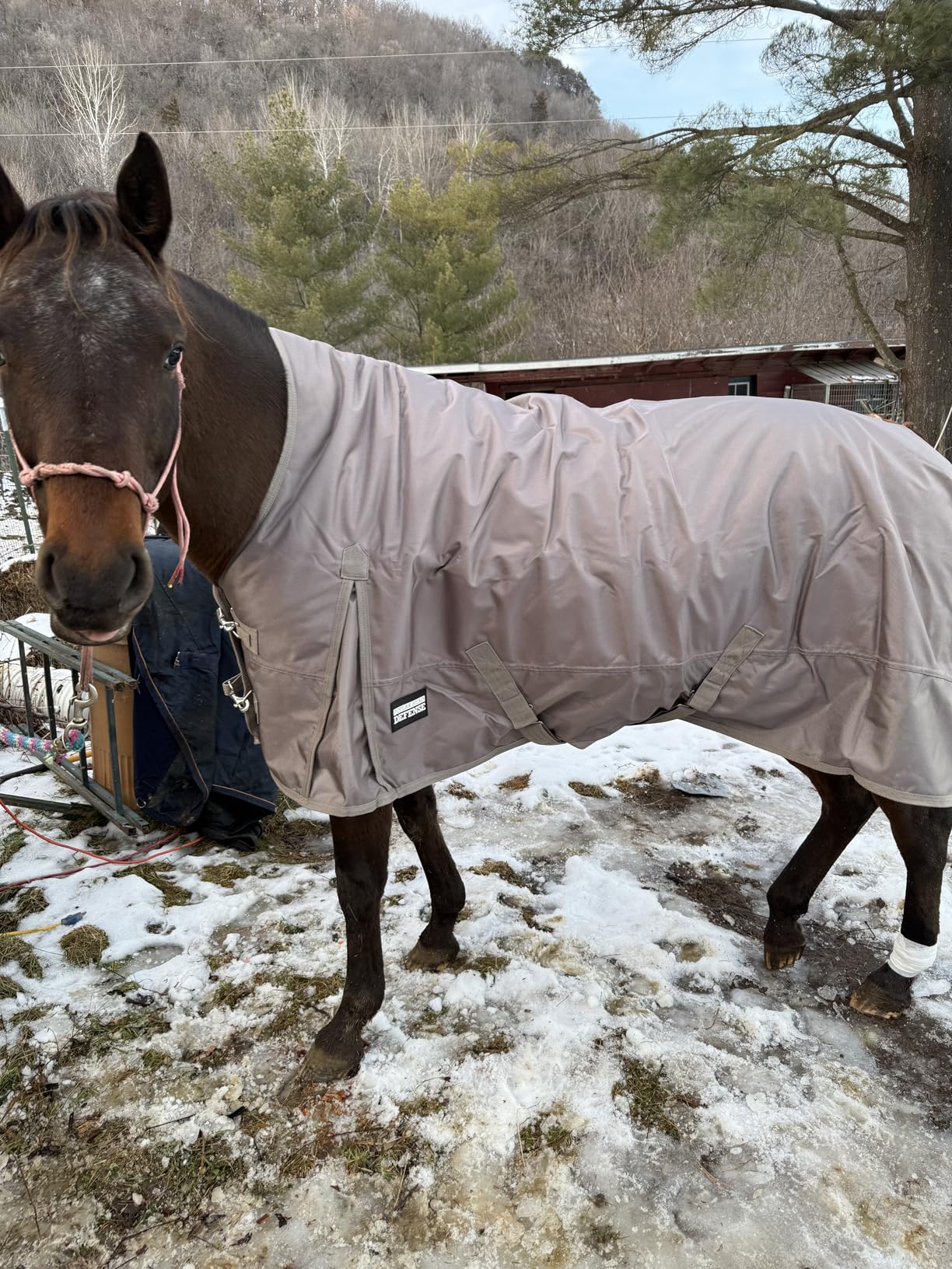 Jeffers Poplar Head Defense 1680 Denier Turnout Blanket with Extended Neck Design, Plymouth Brown 78