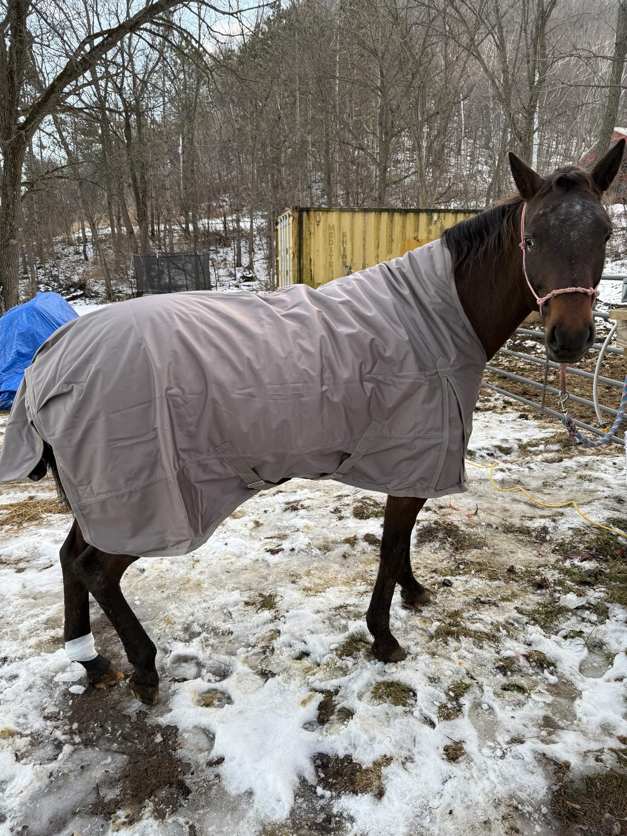 Jeffers Poplar Head Defense 1680 Denier Turnout Blanket with Extended Neck Design, Plymouth Brown 78
