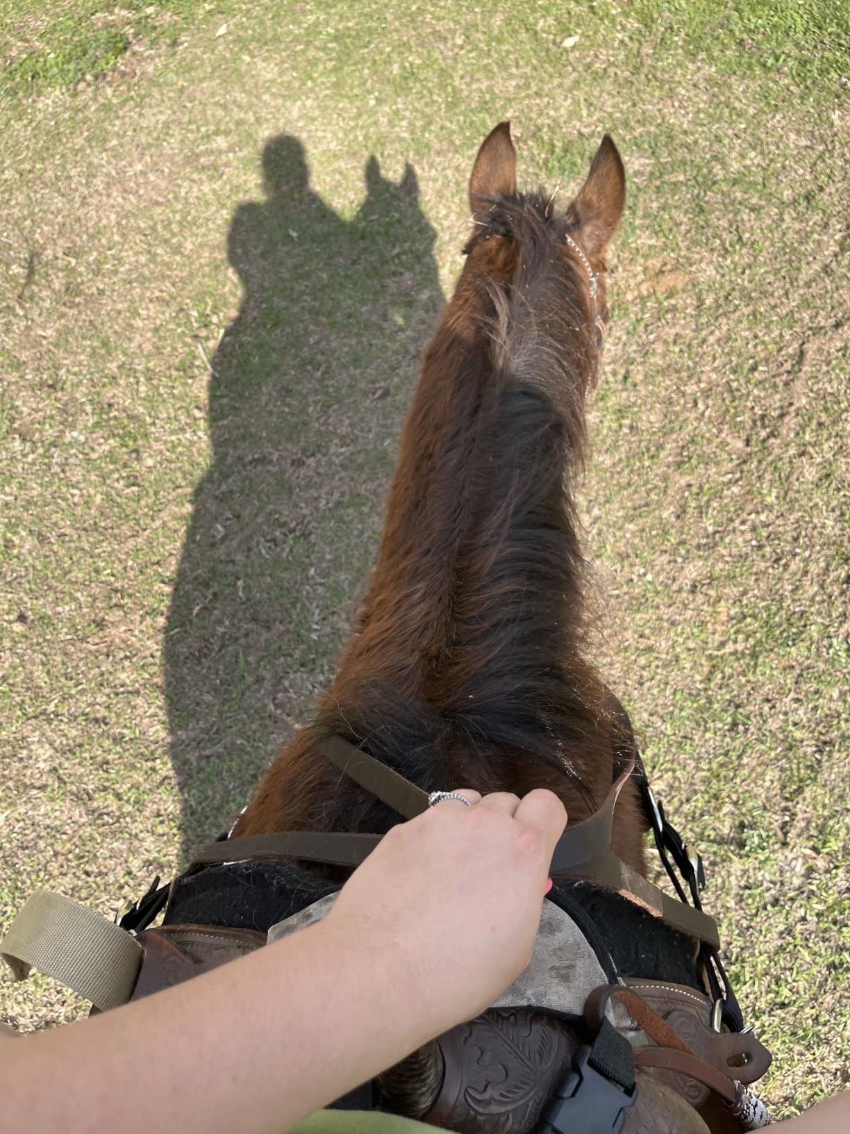 HILASON Western Genuine Leather Horse Split Reins | Riding-Reins Reining-Reins Heavy-Duty-Rein customer photo 1