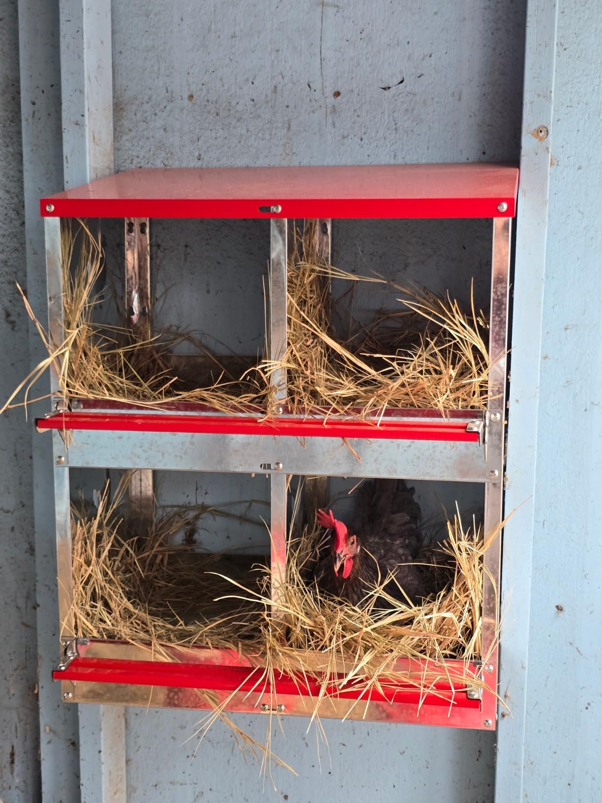 Chicken Nesting Boxes - 10 Compartment Metal Poultry Nest Box Wall Mount for Chickens, Hens, Ducks - Easy Egg Collection - Large Vented Holes Chicken Coop Equipment customer photo 2