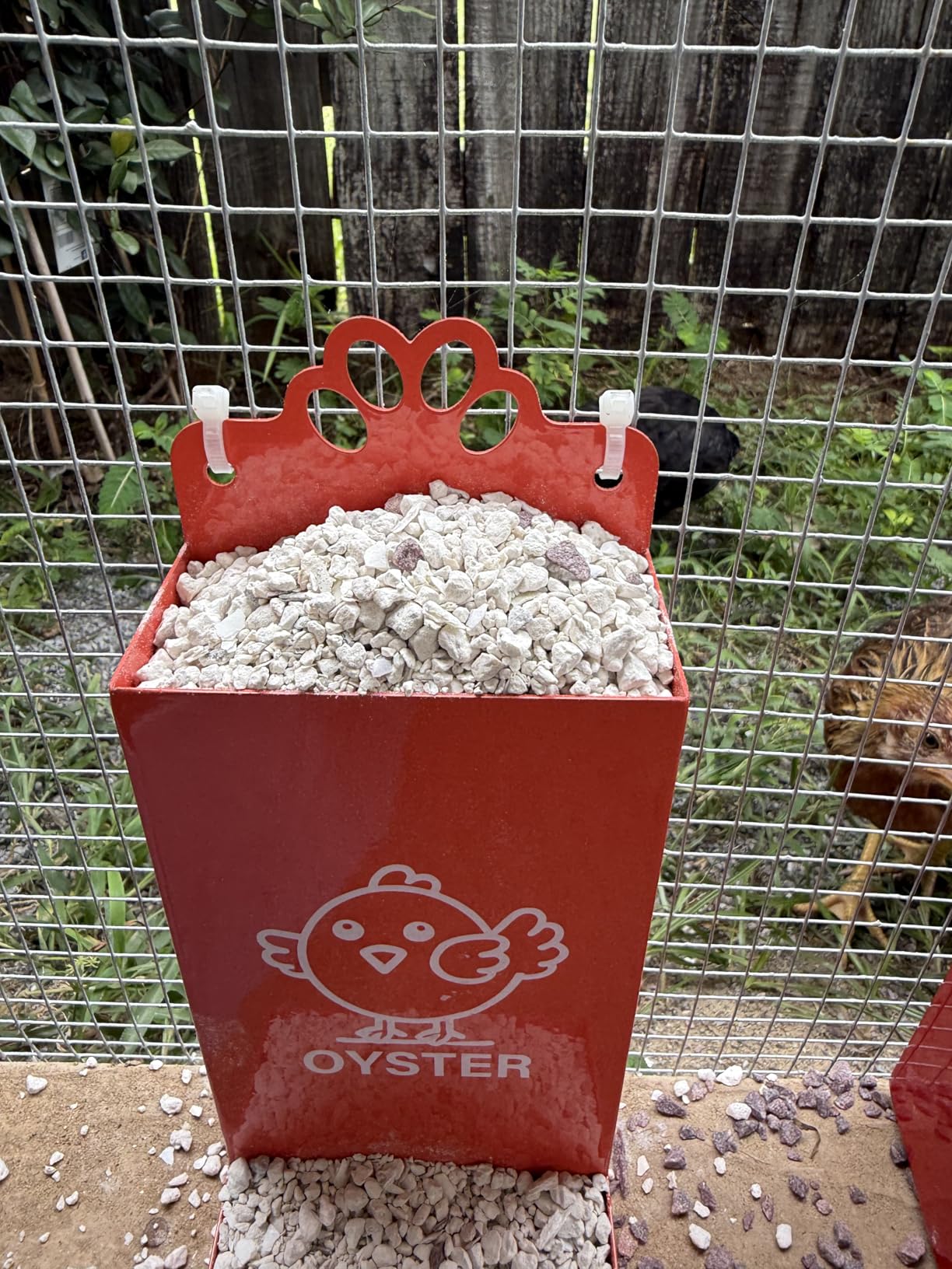 Chicken Feeder Galvanized 25Lbs Capacity Weatherproof Treadle Chicken Feeder Rodent Proof customer photo 1
