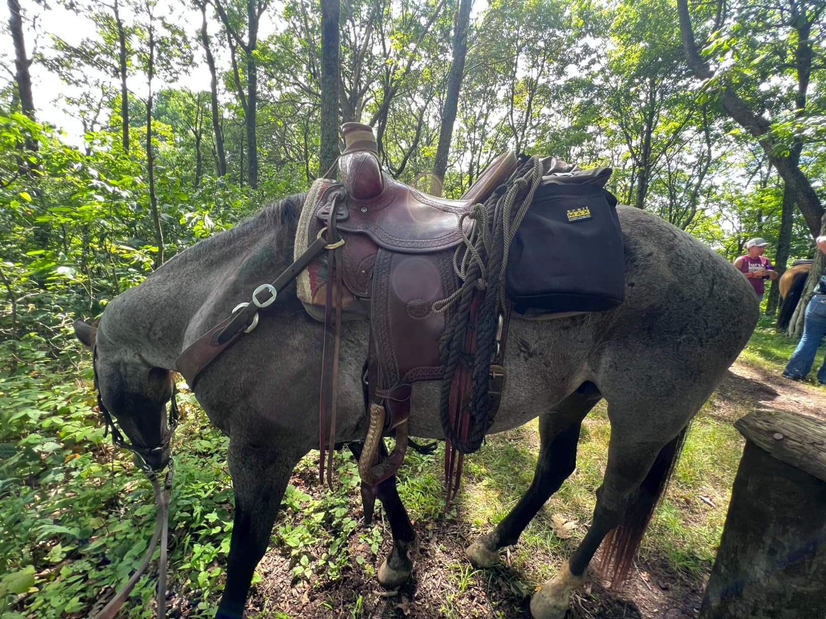 TrailMax Horse Saddlebags for Trail Riding - Medium & Large Western Saddle Bags for Horses & Mules, Durable No-Bounce Design, Insulated Storage, Secure Fit Trail Gear customer photo 2