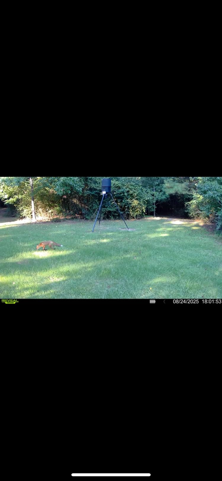 TACTACAM Reveal X 3.0 Cellular Trail Camera, Night Vision, Waterproof customer photo 2