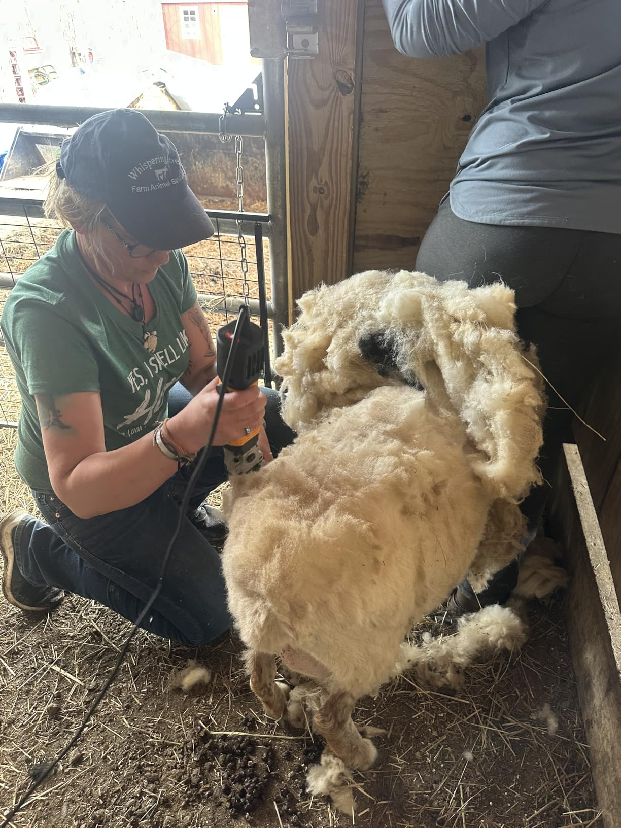 PAT JUUMG 1000W Sheep Shears Electric Farm Livestock Haircut with Blades Professional Animal Clippers 6 Speed Heavy Duty Electric for Thick Horses Sheep Alpacas Goats (Yellow) customer photo 1