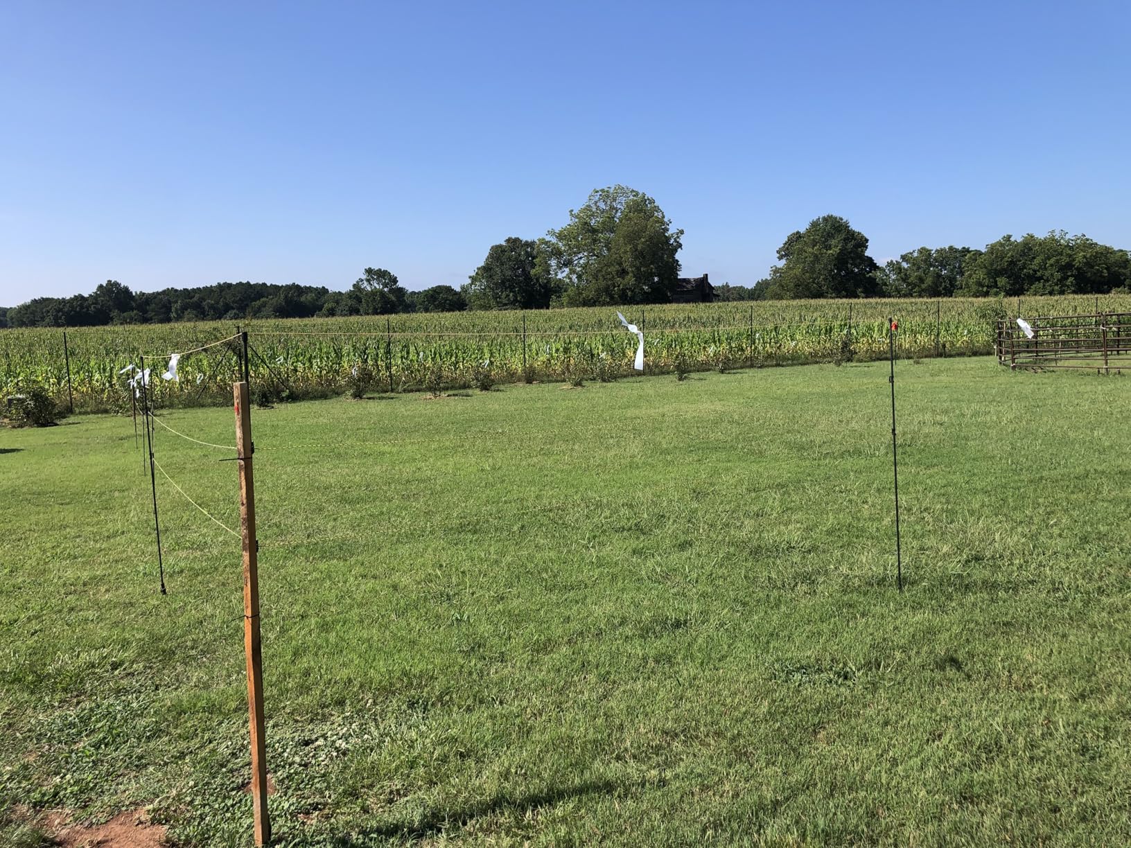 76 Inches High Fiberglass Step-in Electric Fence Portable Posts with Double Spikes - 40 Posts Come with 200 Clips customer photo 2