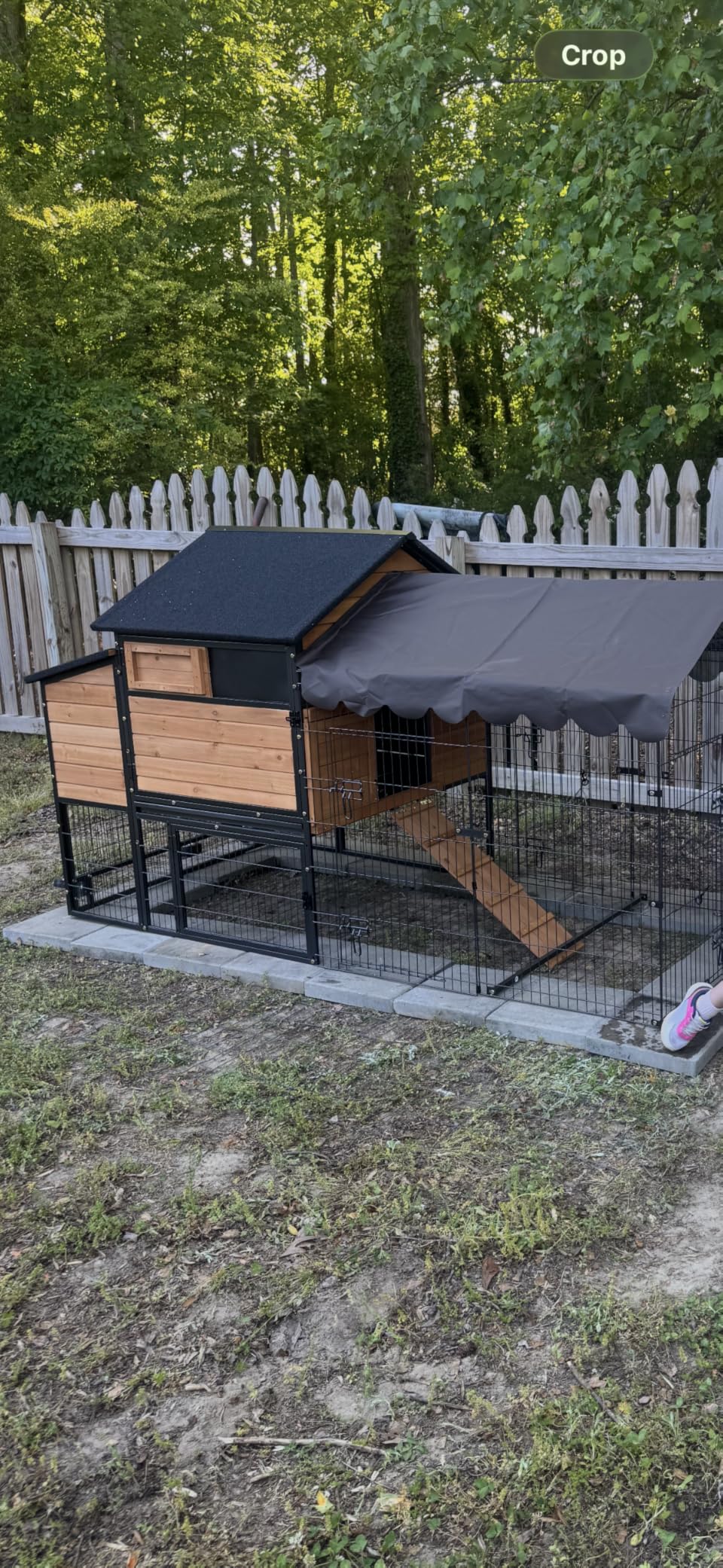 Mobile Chicken Coop for 6-8 Hens, All-Steel Frame Hen House with Wheels Portable Poultry Cage, Metal Run & Nesting Box Duck Coop Large customer photo 1