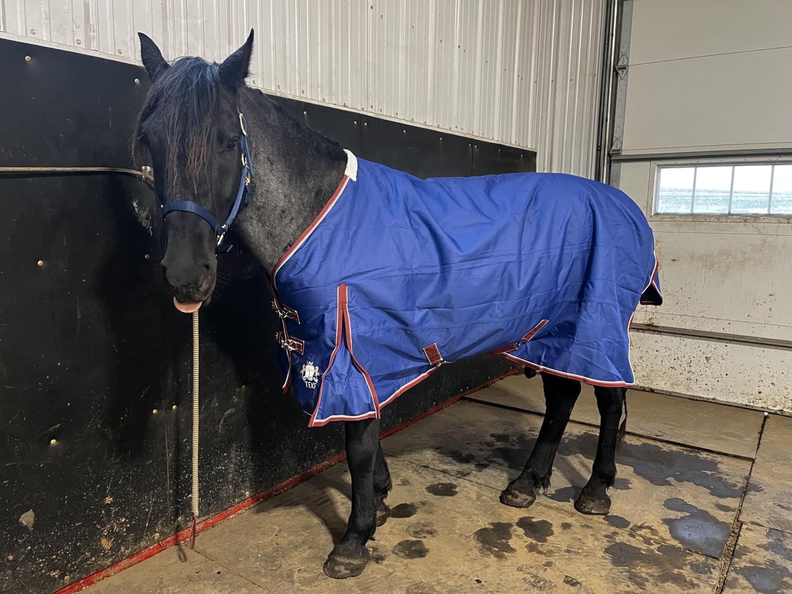 T TEKE Deluxe Turnout Horse Sheets, 1200D Waterproof and Breathable Horse Care Sheets with no Filling (51
