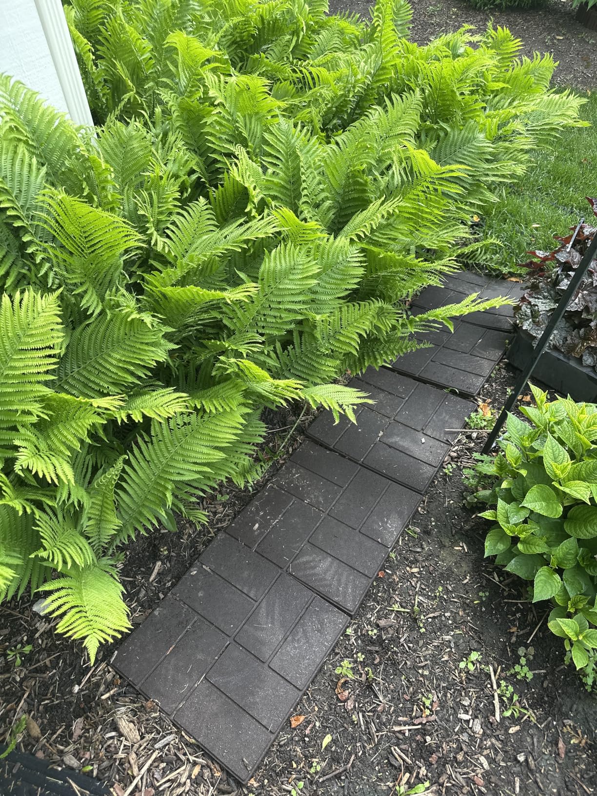 EcoPaver 16 in. x 16 in. Square Cobblestone/Brick Dual-Sided 100% Recycled Rubber Paver (6-Pack) (Black) customer photo 2