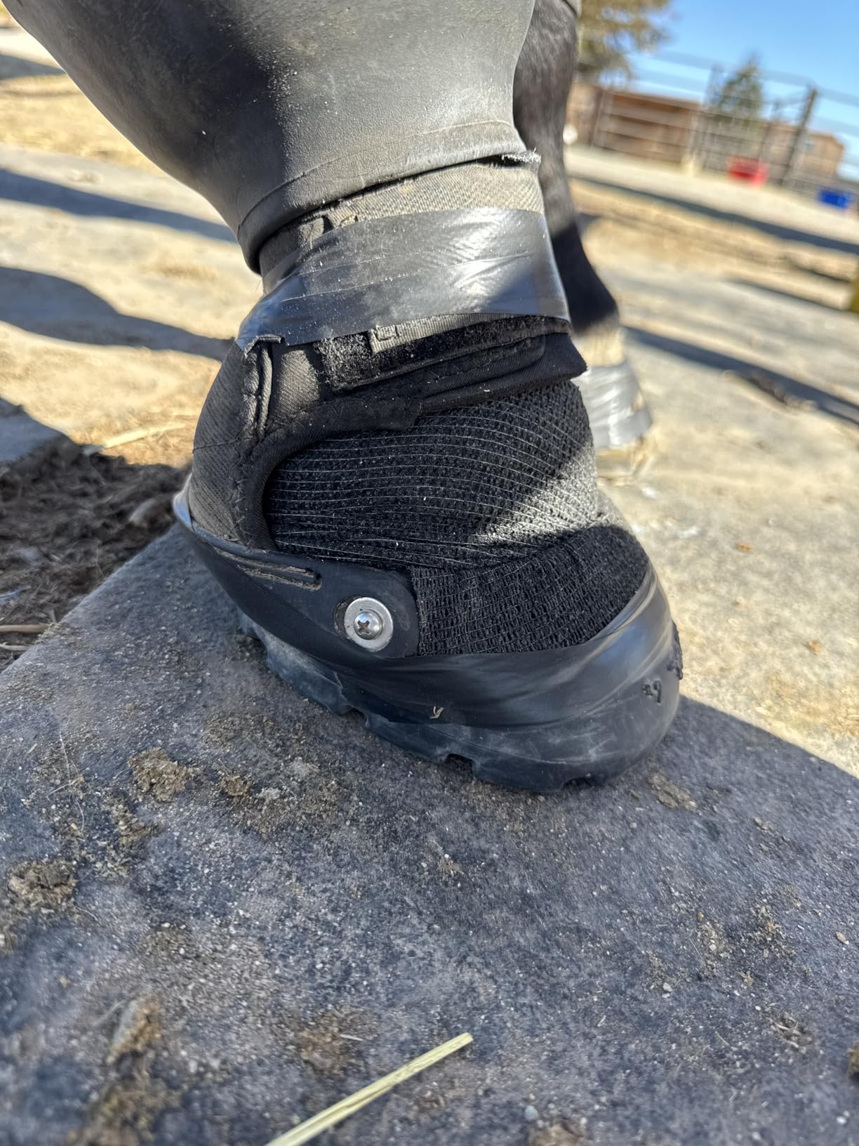 Easyboot Glove Soft Hoof Boot for Horses, Neoprene, Elastic Gaiter, All-Terrain Tread (2) customer photo 1