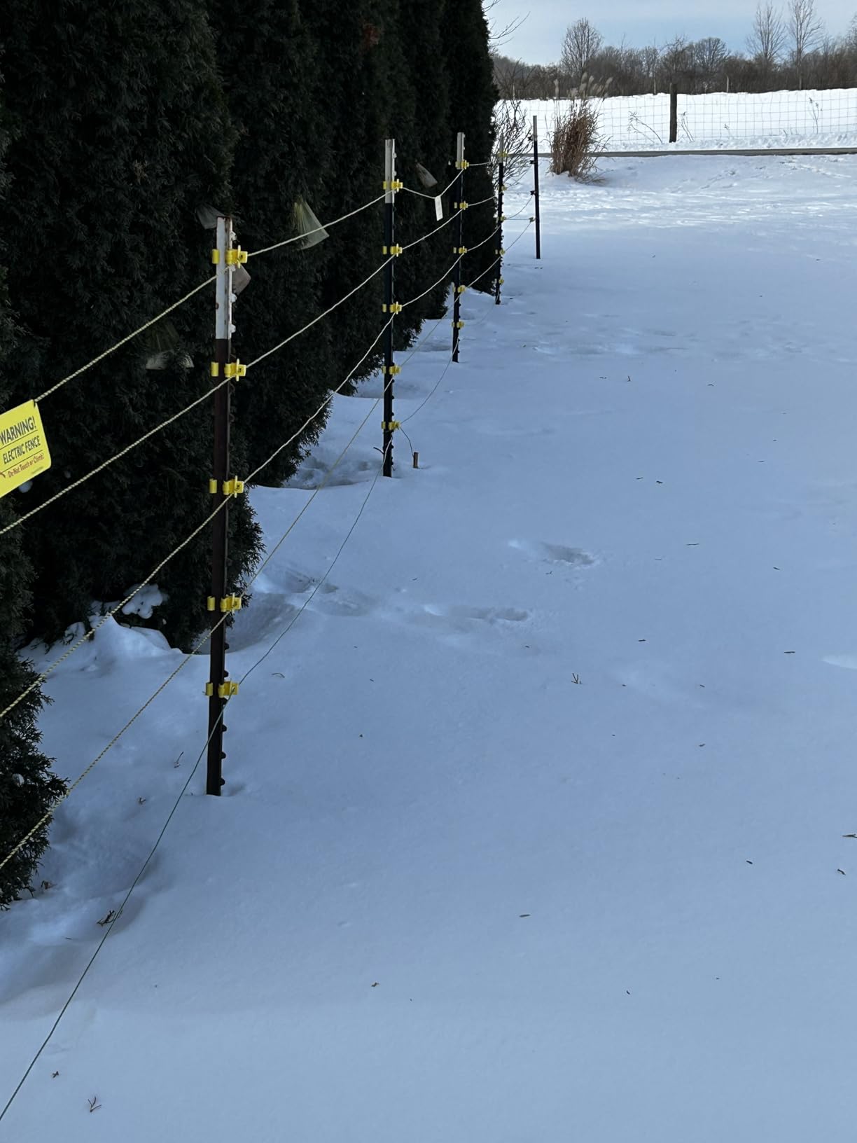 VEVOR Electric Fence Wire, 1000Ft 305M Portable Polywire, 1/4
