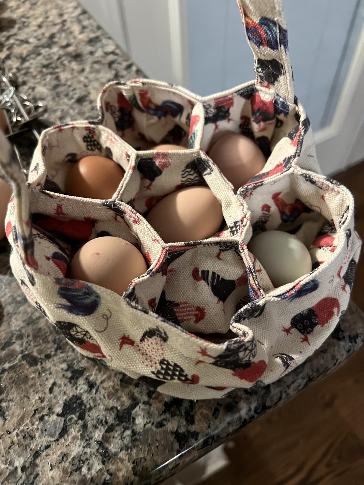 Clean Republic Good Salt Pet Fresh Nest Egg Wash, Natural Cleaner for Freshly Laid Eggs, Made in the USA, 1 Gallon Bottle customer photo 1