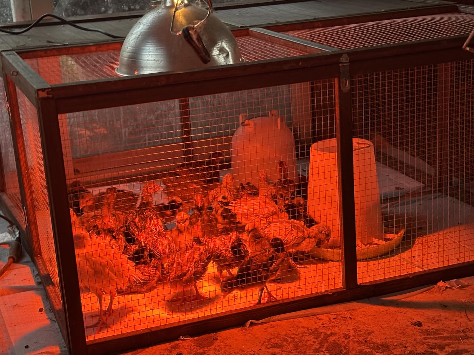 Chicken Coop Run Rabbit Cage No Assembly Portable Chicken Run Bunny House with Top & Side Opening Doors, Outdoor Small Animal Playpen Wooden Chicken Brooder Box Guinea Pig Cage 45