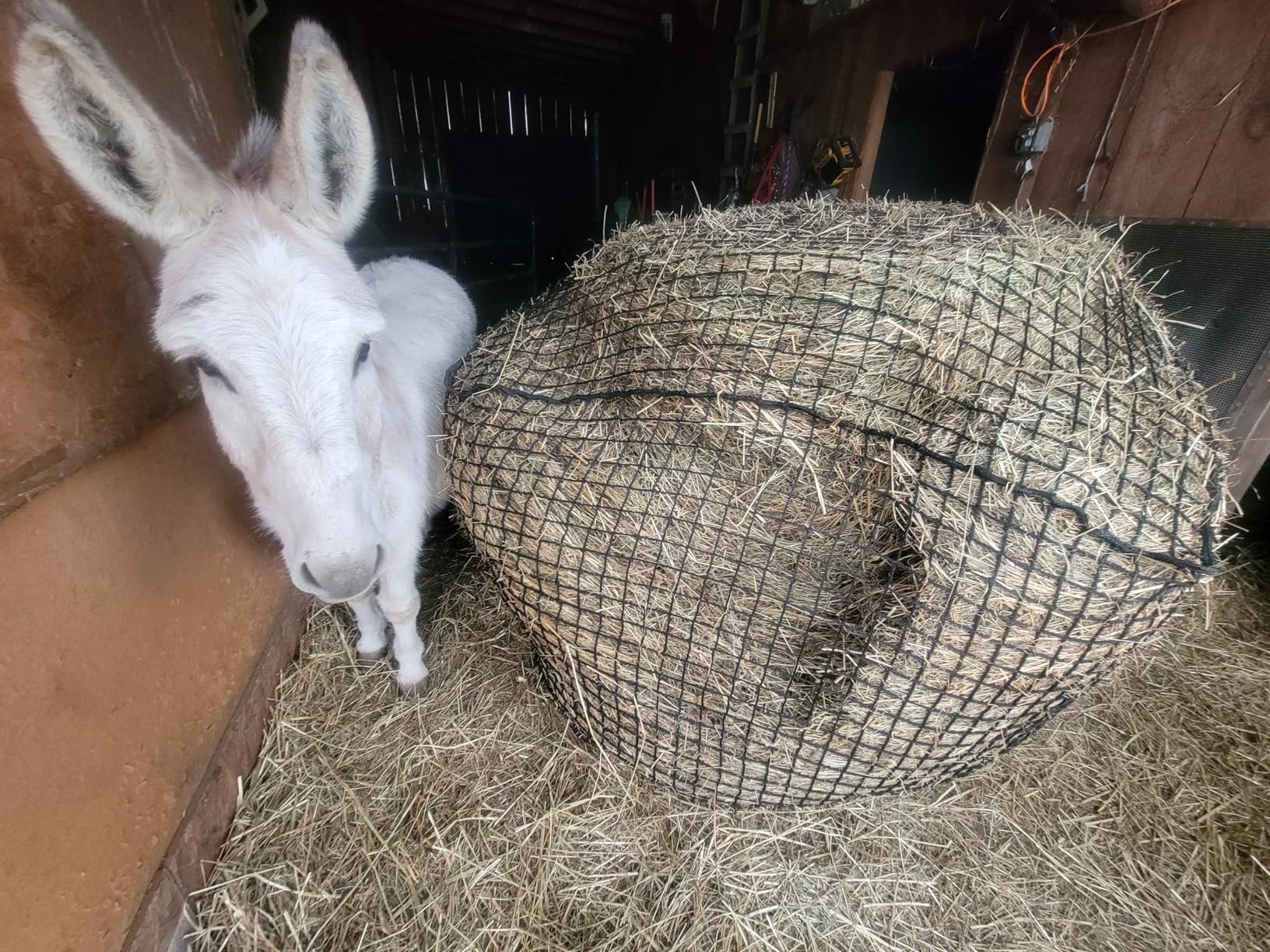Round Bale Hay Net for Horses, 5x5 Feet Knotless Slow Feed Hay Net Feeder for Livestock, Heavy Gauge Large Hay Net customer photo 1