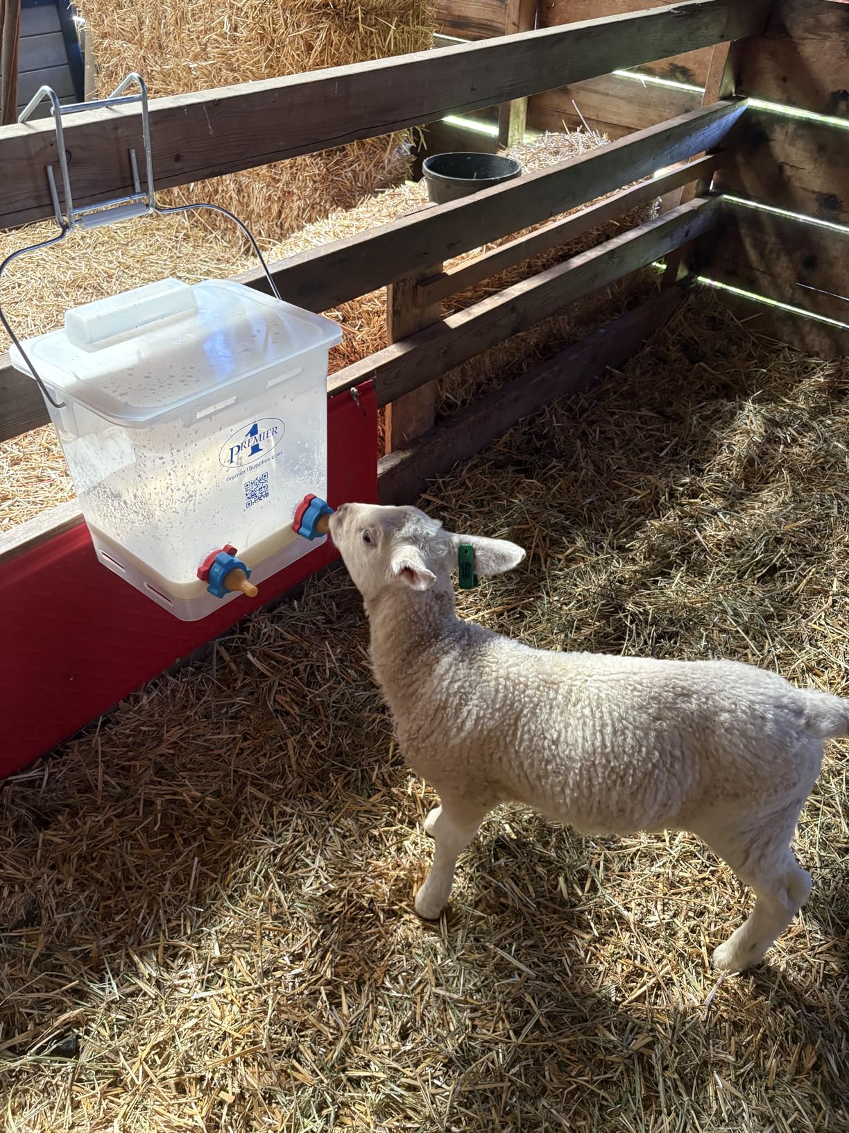 Premier 1 Lamb 'N' Goat Kid Prima Orphan Feeding Bucket - 2 Gal, Round | 3 Nipple Holes customer photo 1