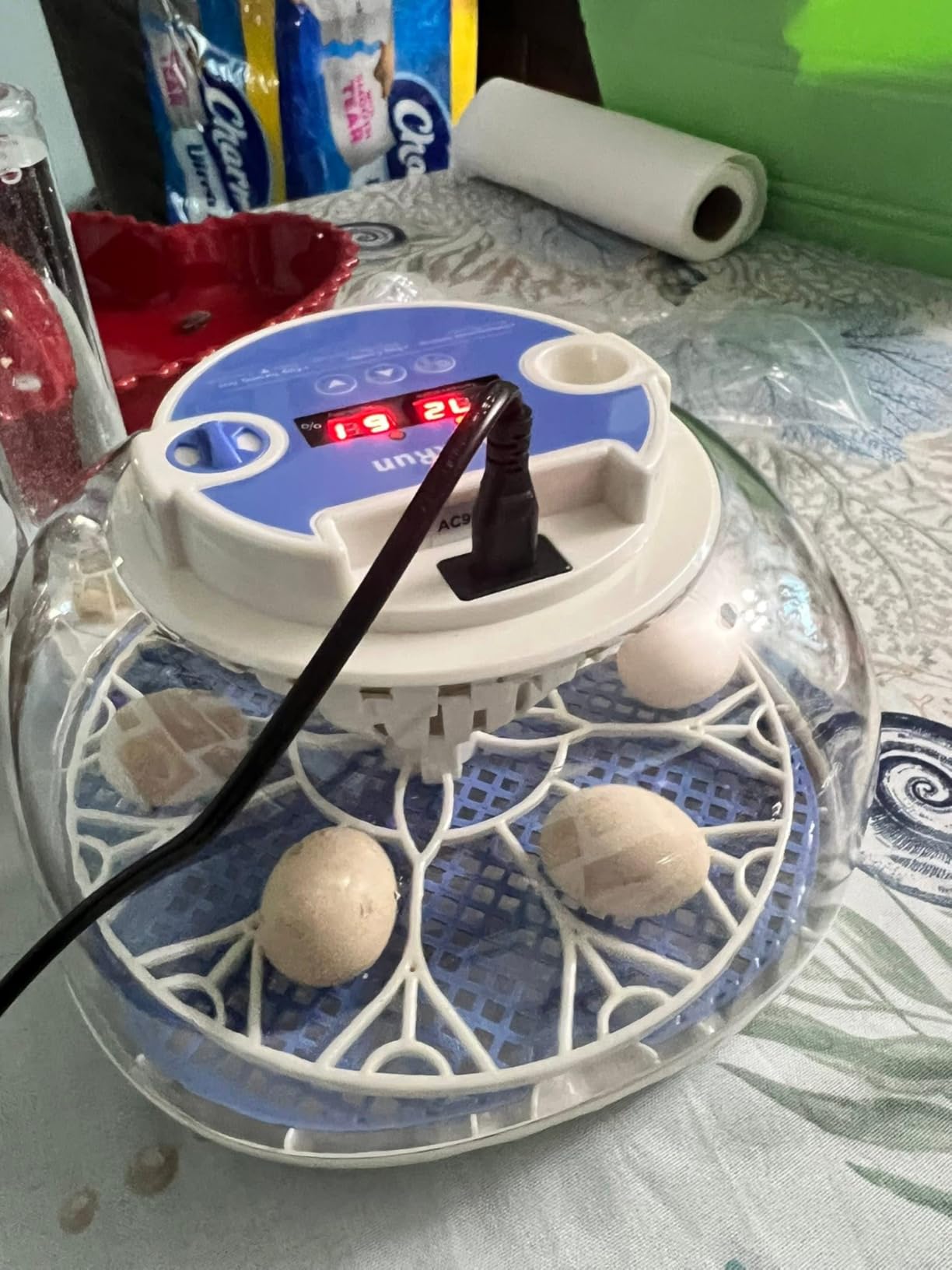 Egg Incubators for Hatching Eggs, Temperature and Humidity Control, Automatic Egg Turning, Egg Candler, Automatic Water Refill, for Chicken, Quail & Duck Eggs, Perfect for Home, Farm, Classroom customer photo 1
