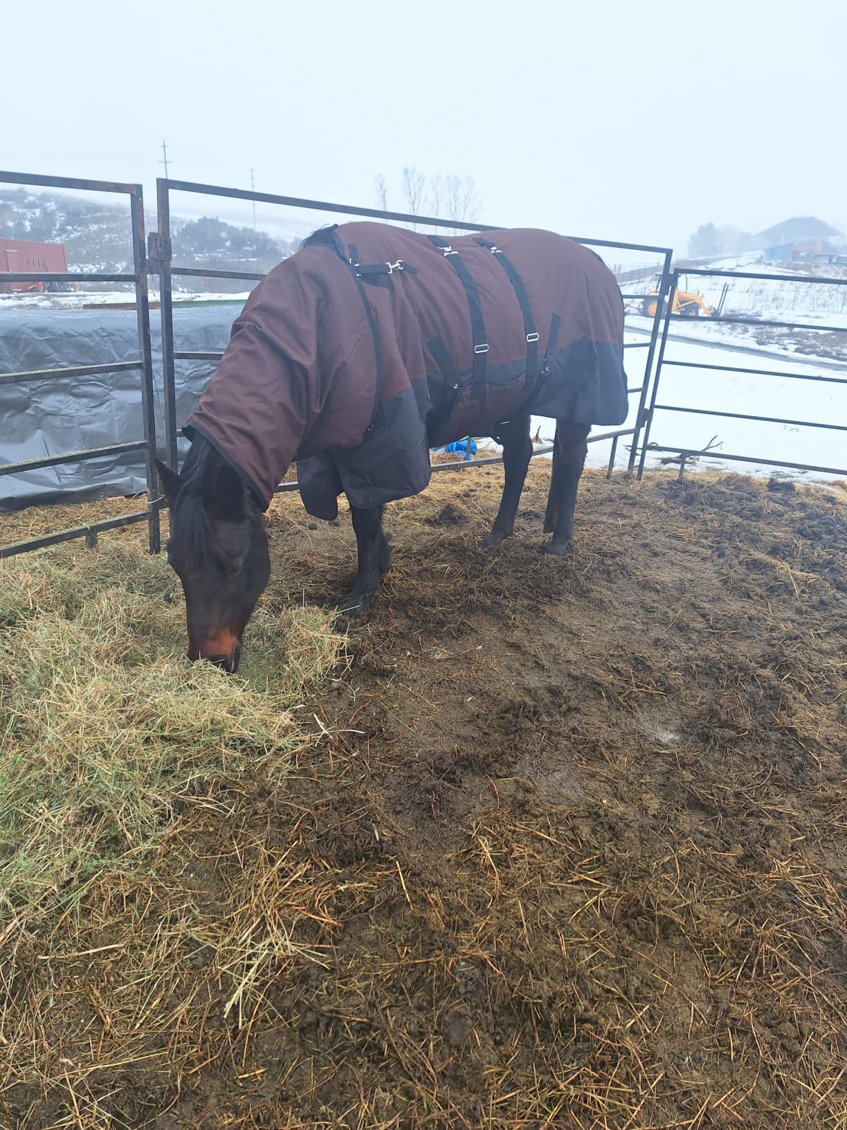 HILASON 1200D Winter Waterproof Turnout Horse Blanket Belly Wrap Neck Cover customer photo 1