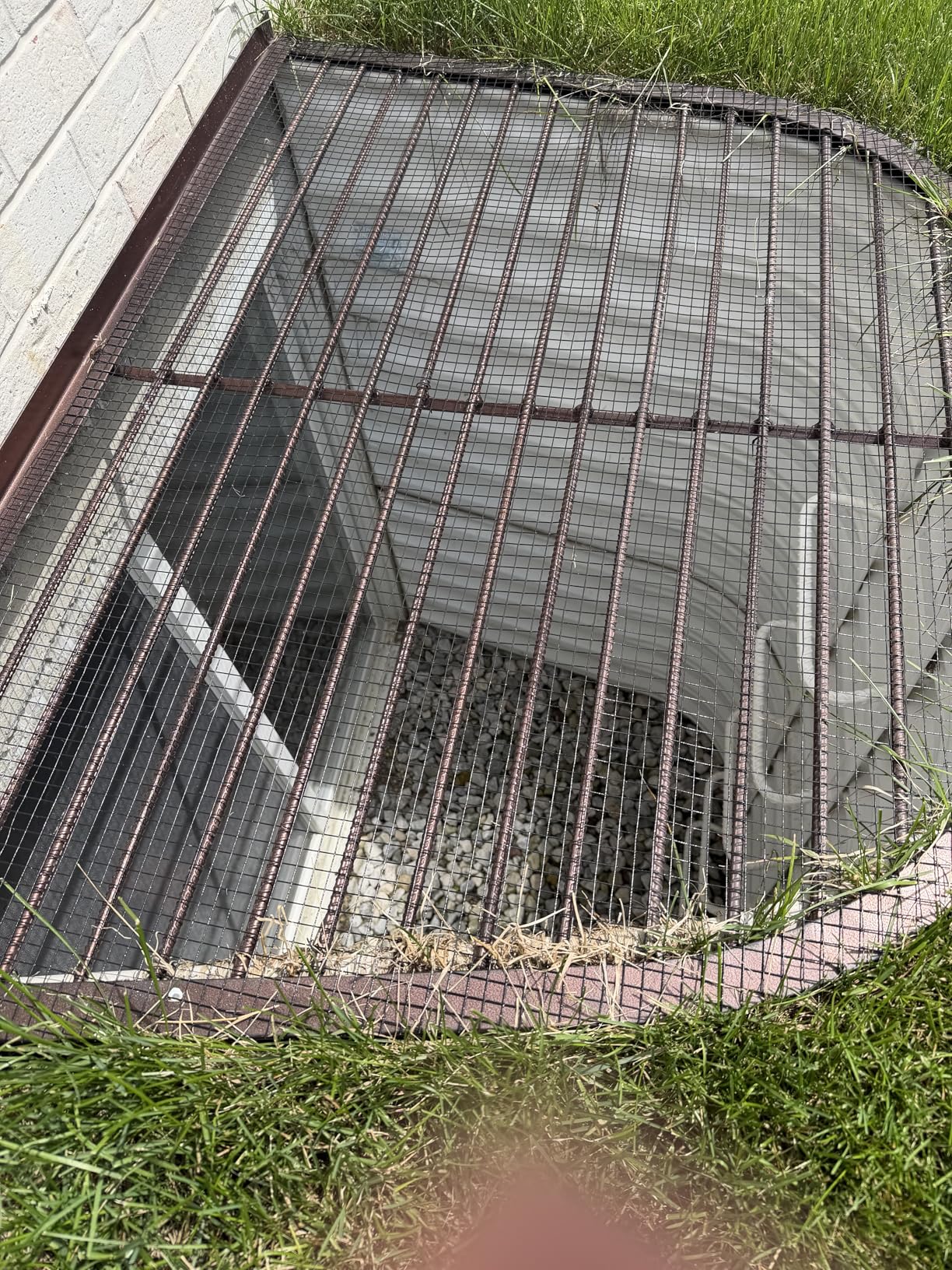 Black Hardware Cloth 1/2 Inch 48 x 100 Ft 19-Gauge | PVC Coated Chicken Wire Fencing, Welded Wire Fencing, Wire Mesh Roll for Garden Fencing customer photo 1