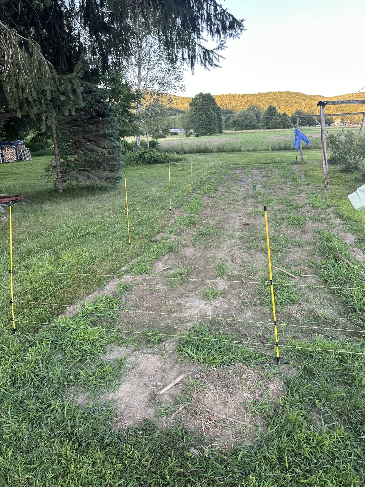 10 PCS Electric Fence Posts, 3/8