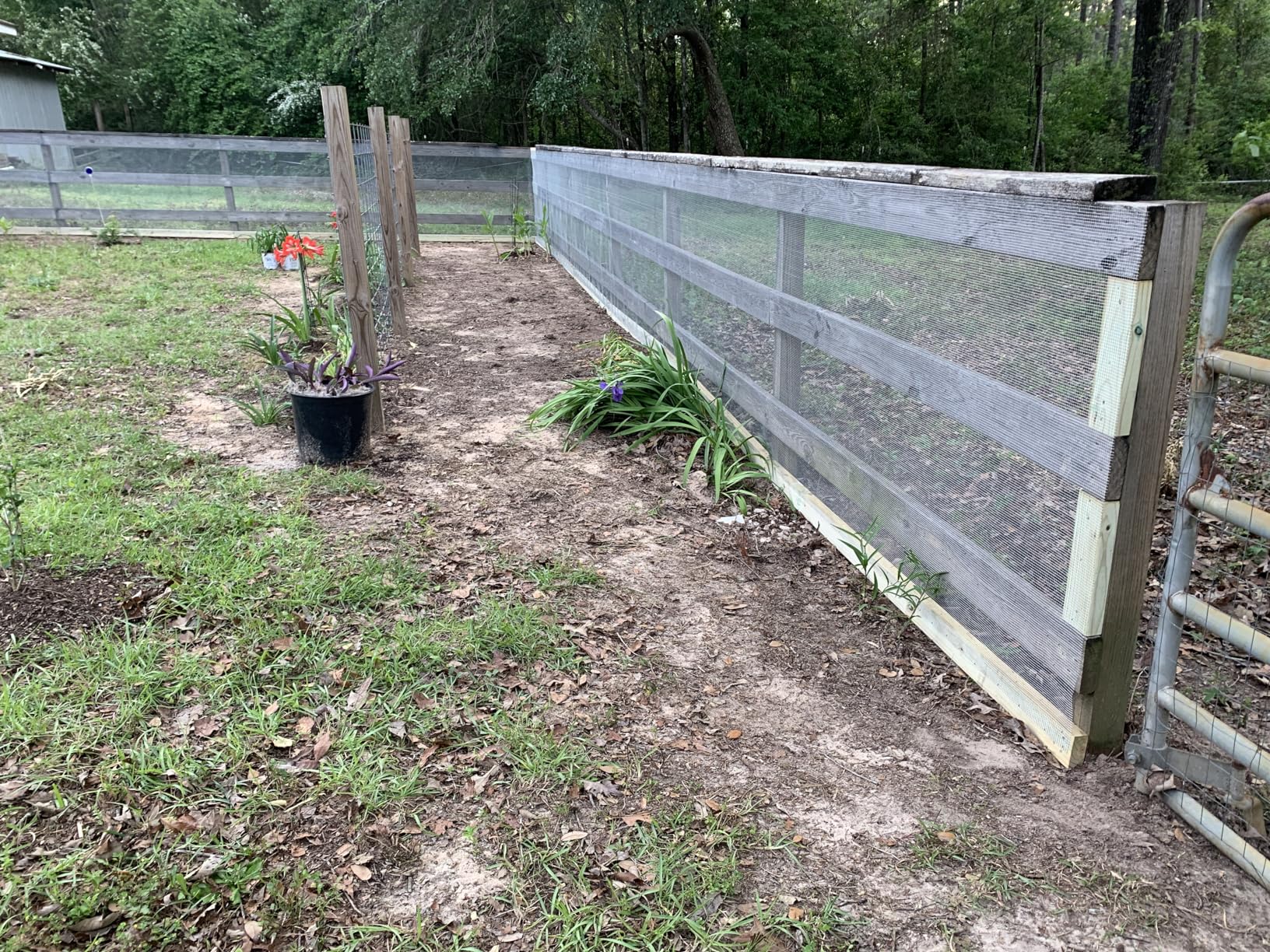 Black PVC Coated Welded Wire Fencing, 72in High x 100ft Long, 2 inch x 3 inch 16GA 2/3/4/5/6 Ft Tall Welded Wire Fence Rolls, Black Metal Garden Fence Wire Roll Garden Fencing for Yard customer photo 1