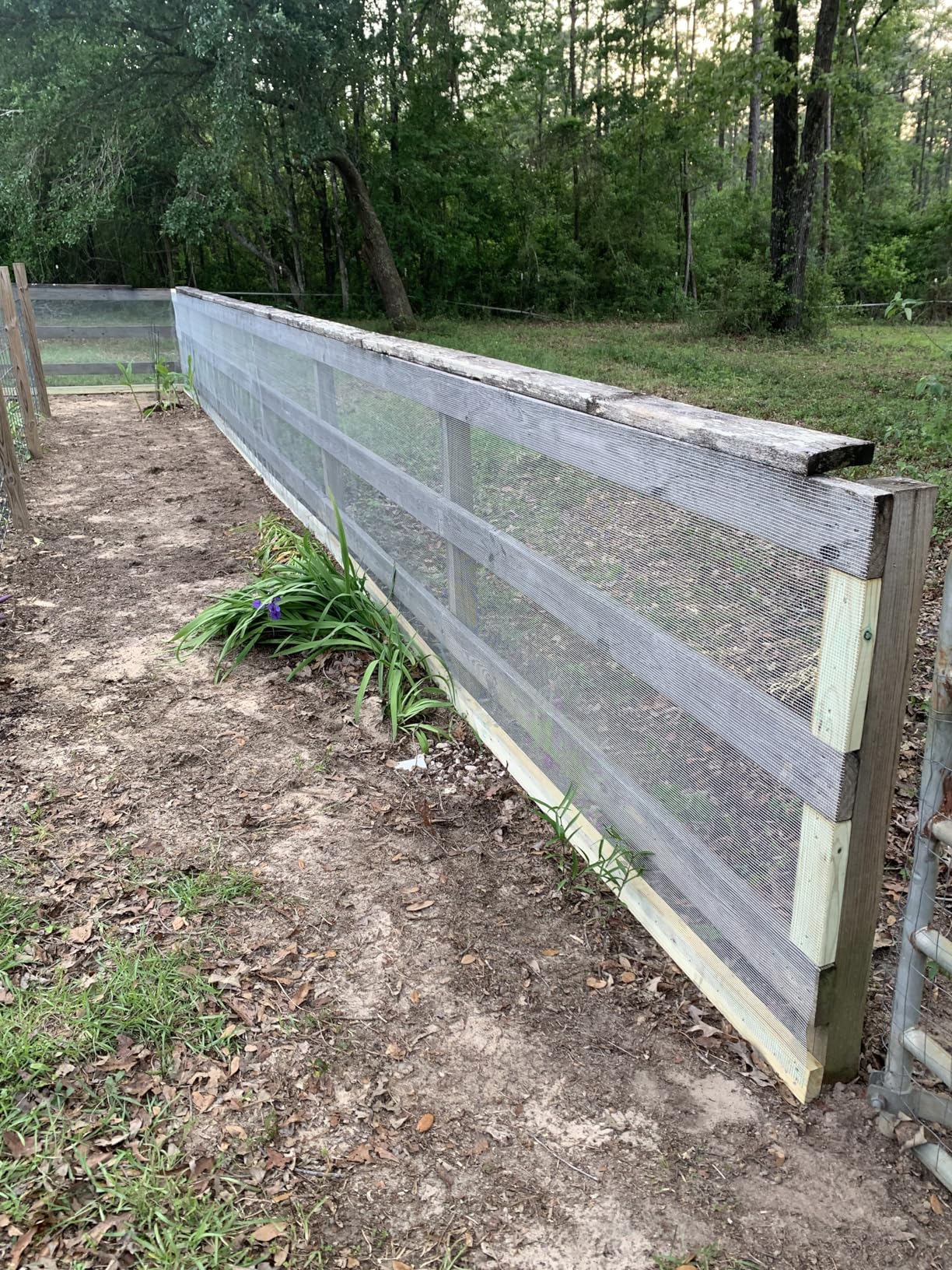 Black PVC Coated Welded Wire Fencing, 72in High x 100ft Long, 2 inch x 3 inch 16GA 2/3/4/5/6 Ft Tall Welded Wire Fence Rolls, Black Metal Garden Fence Wire Roll Garden Fencing for Yard customer photo 2