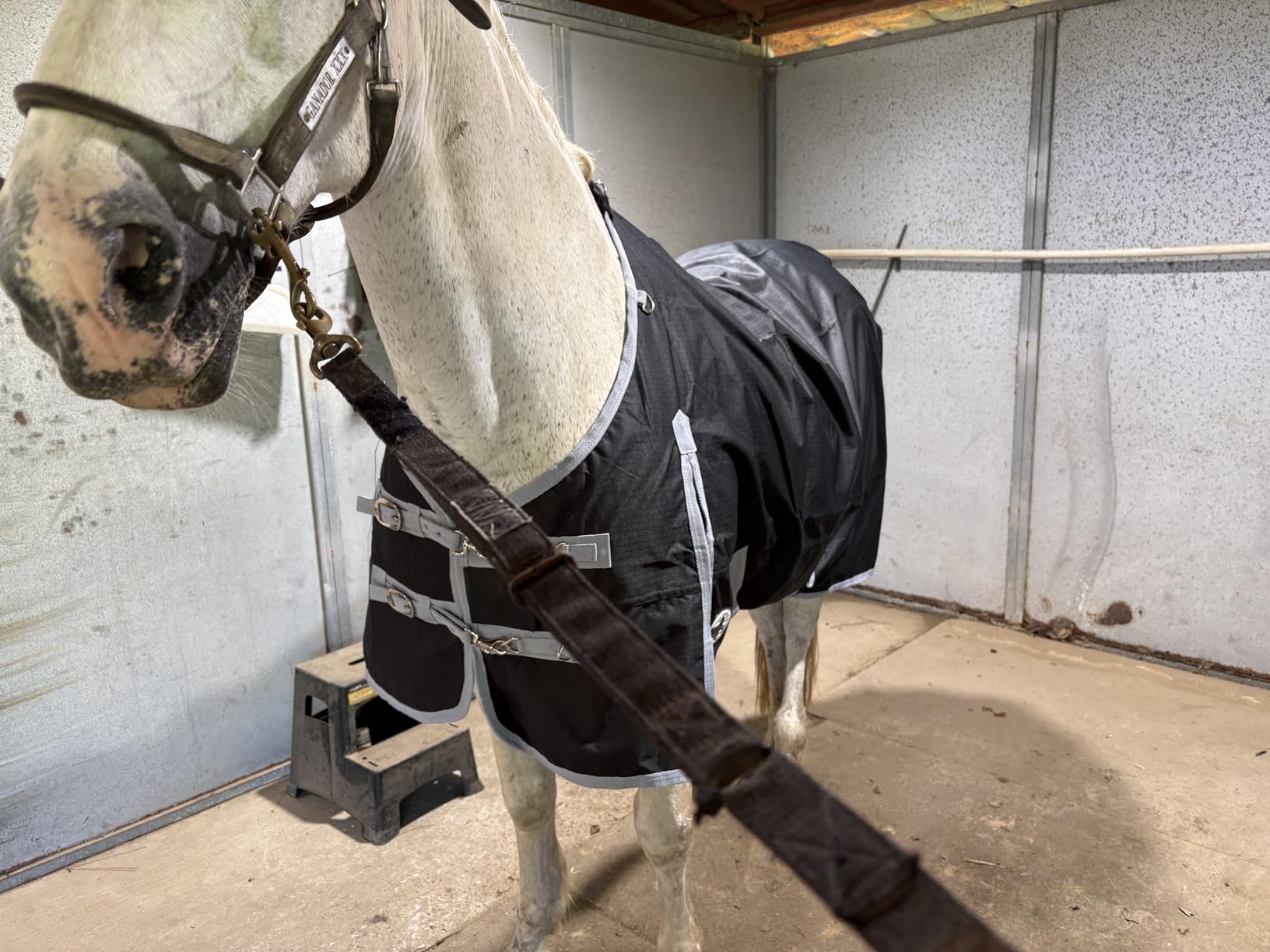 Jeffers Economy 600 Denier Standard Neck Horse Sheet 0 Gram Polyfill, 75 Inch - Waterproof Lightweight Turnout Blanket Sheet for Horses - Stable, Barn, Pasture, Travel, Adjustable Fit - Black Grey customer photo 2