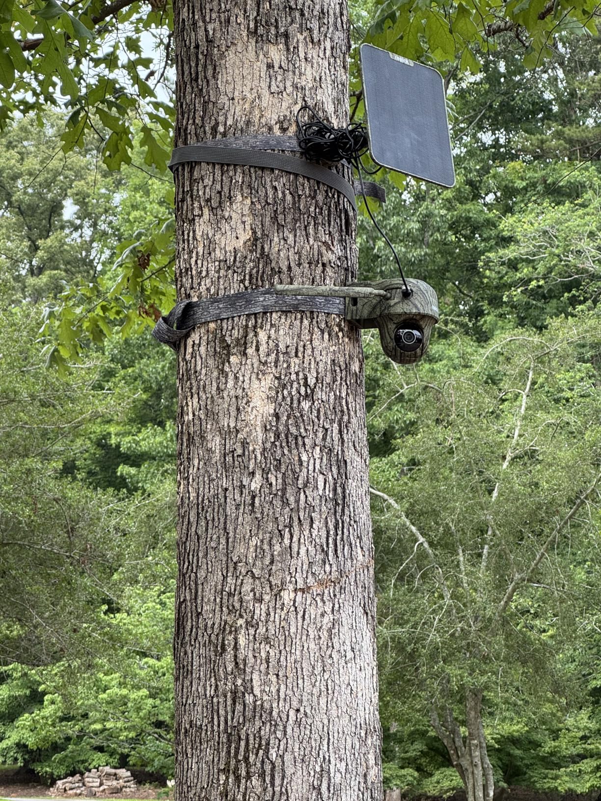 REOLINK 4K 4G LTE Cellular Trail Cameras, Solar Camera Outdoor Wireless | 8MP UHD Dual Lens & Live View, Animal Recognition, No-Glow IR, Smart Motion, SIM + 32GB SD Card Included, 360° Pan & Tilt customer photo 1