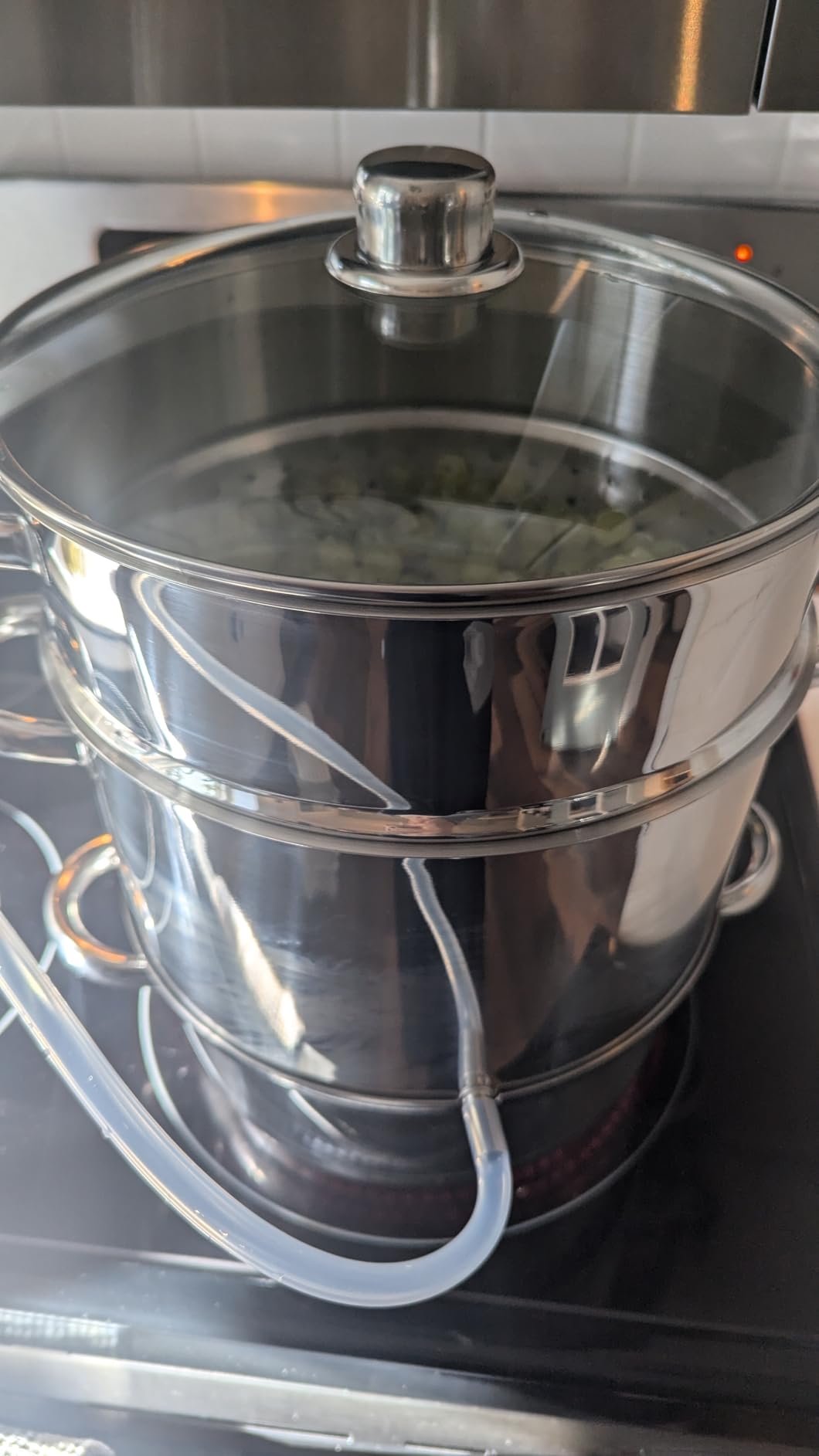 VIVOHOME Stainless Steel Steam Juicer for Canning Fruit and Grape Juice | 5 Qt Juice Steamer Extractor Pot with Tempered Glass Lid, 2 Hoses, Clamp, Loop Handles customer photo 1