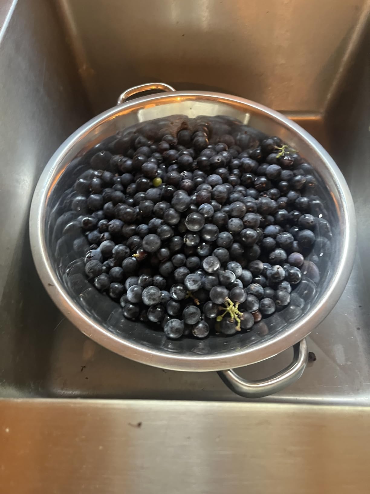 VIVOHOME Stainless Steel Steam Juicer for Canning Fruit and Grape Juice | 5 Qt Juice Steamer Extractor Pot with Tempered Glass Lid, 2 Hoses, Clamp, Loop Handles customer photo 2