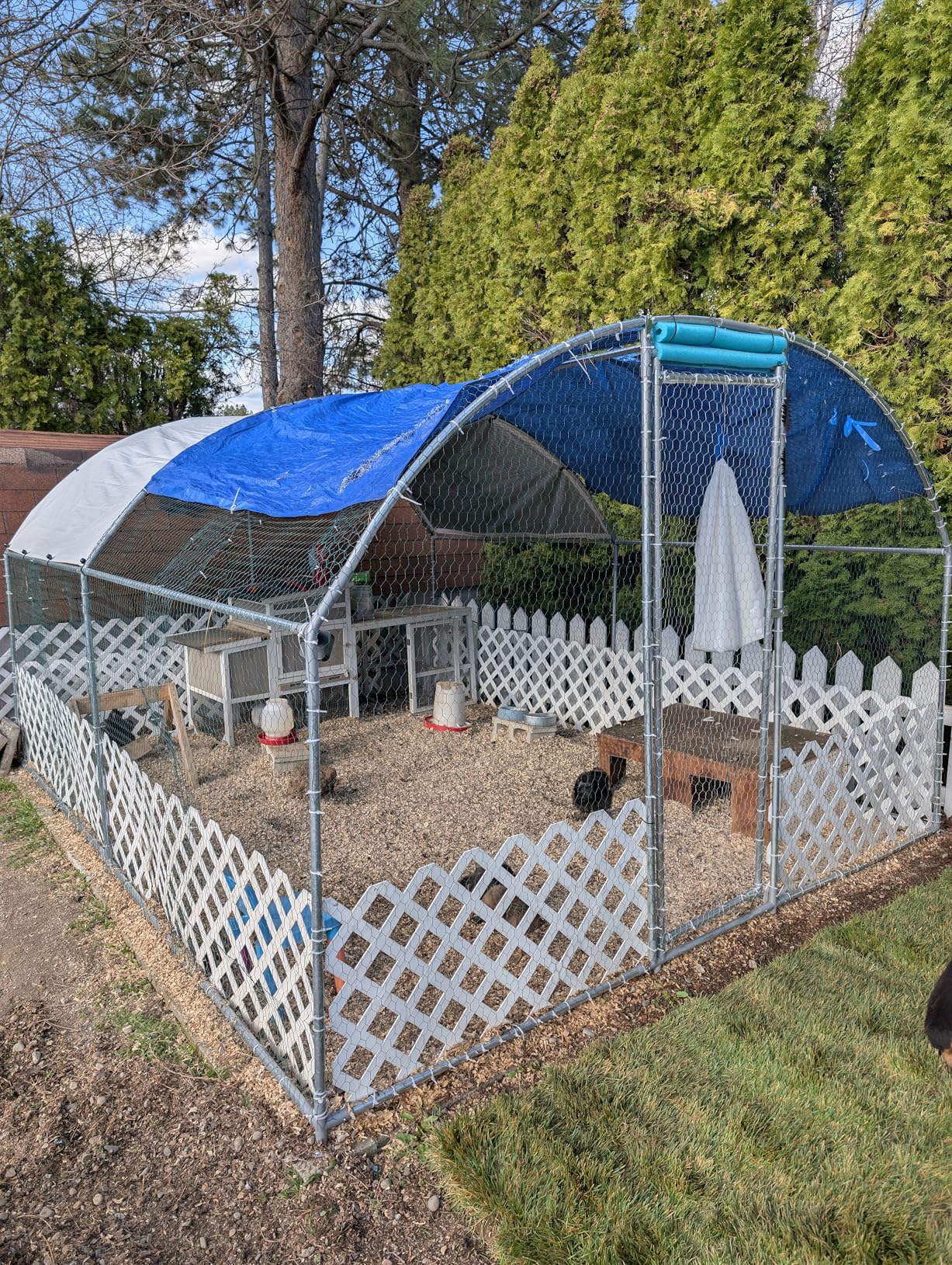 NUGRIART Large Metal Chicken Coop, Outdoor cage Run with Waterproof and Anti-UV Cover, Dome Roof Walk-in Poultry Cage Rabbit Duck House for Outside, Backyard and Farm customer photo 1