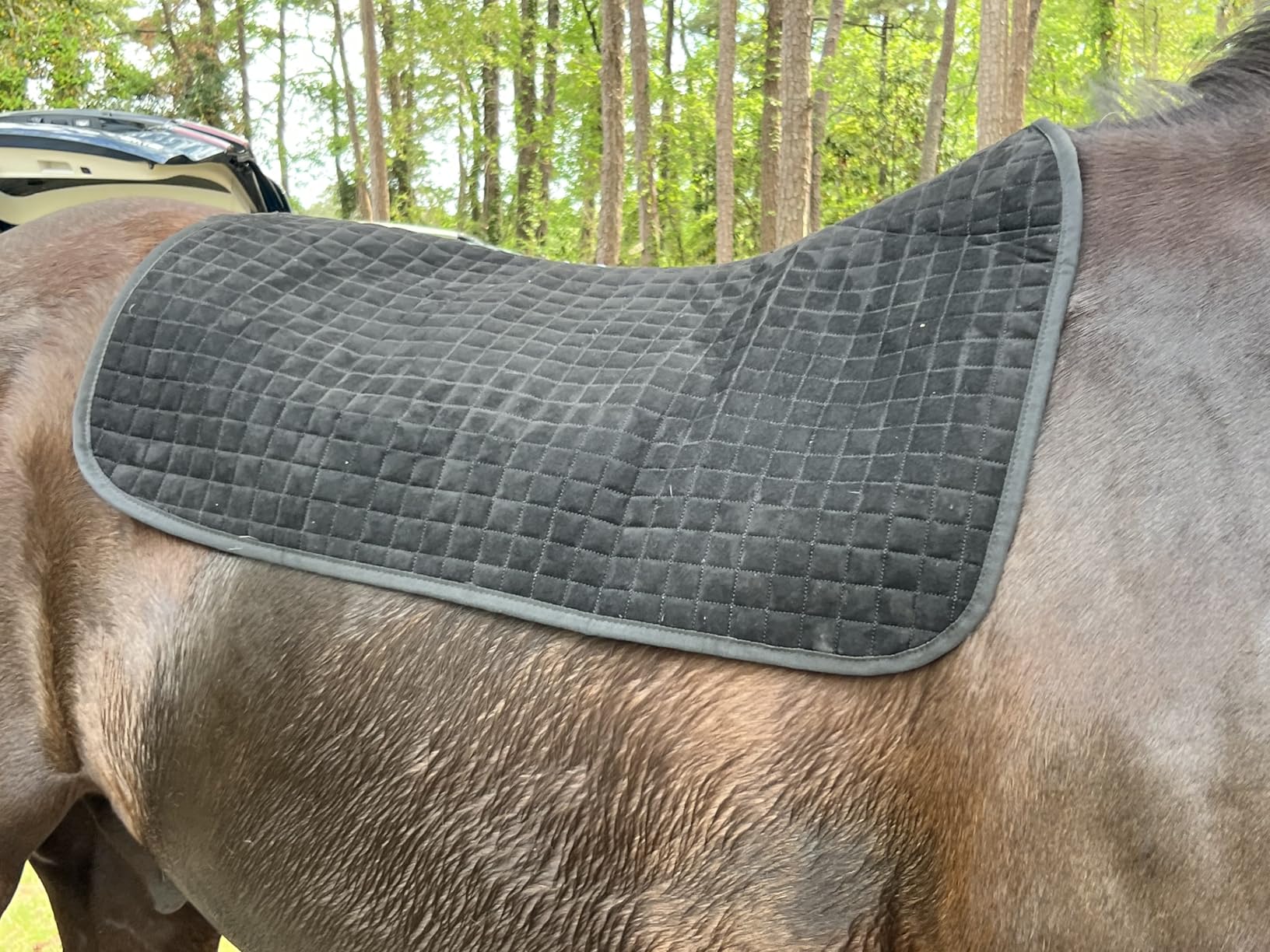 Tackmore Western Saddle Pad Breathable, Shock-Absorbing Saddle Pad customer photo 2