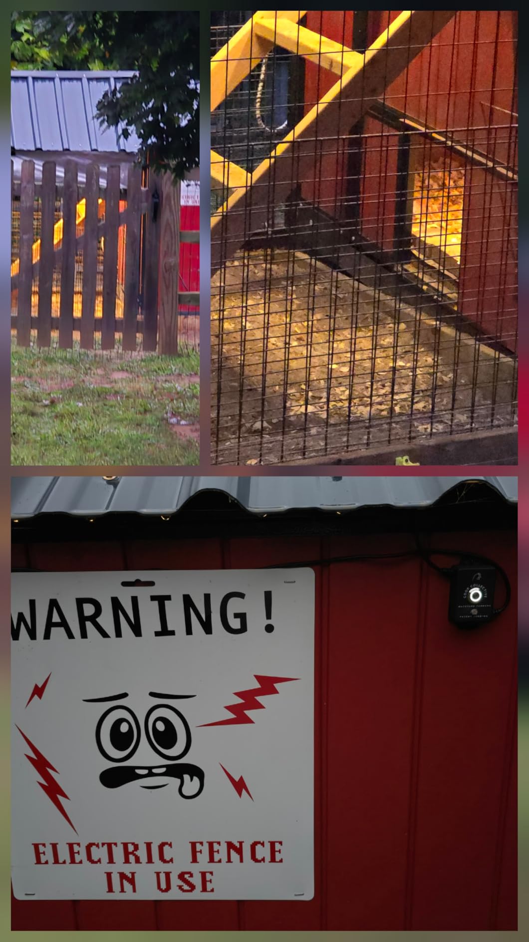 Automatic Chicken Coop Lighting System by Coop Collective | No Programming Needed | Full Spectrum UVA & UVB | Fireproof, Weatherproof | 5M LED Strip Covers 250 Sq. Ft. | UL Rated | 3-Year Warranty customer photo 1