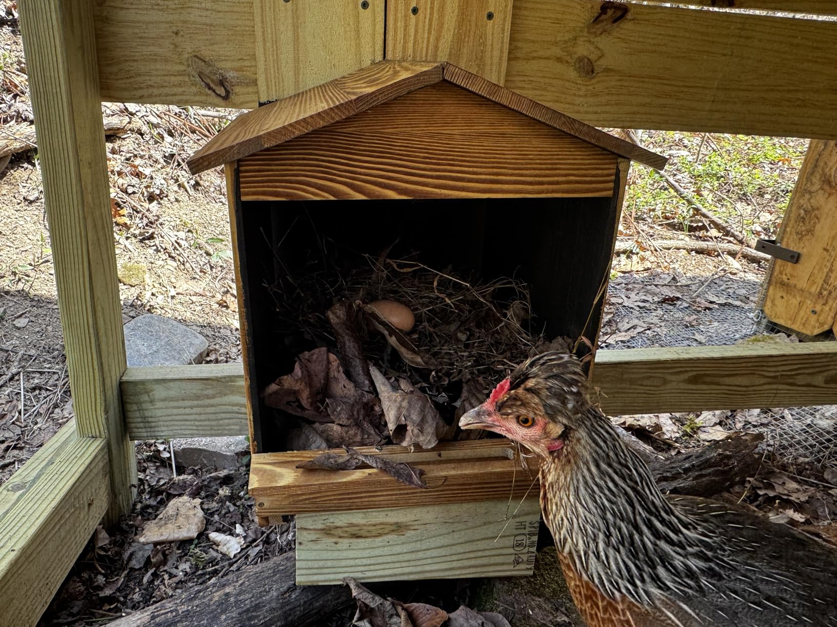 Chicken Nesting Box 3 Compartments - Wall Mount Wooden Egg Laying Nest Box for Chicken Coop, Easy to Assemble & Versatile Use for Hens, Ducks, Chickens customer photo 2