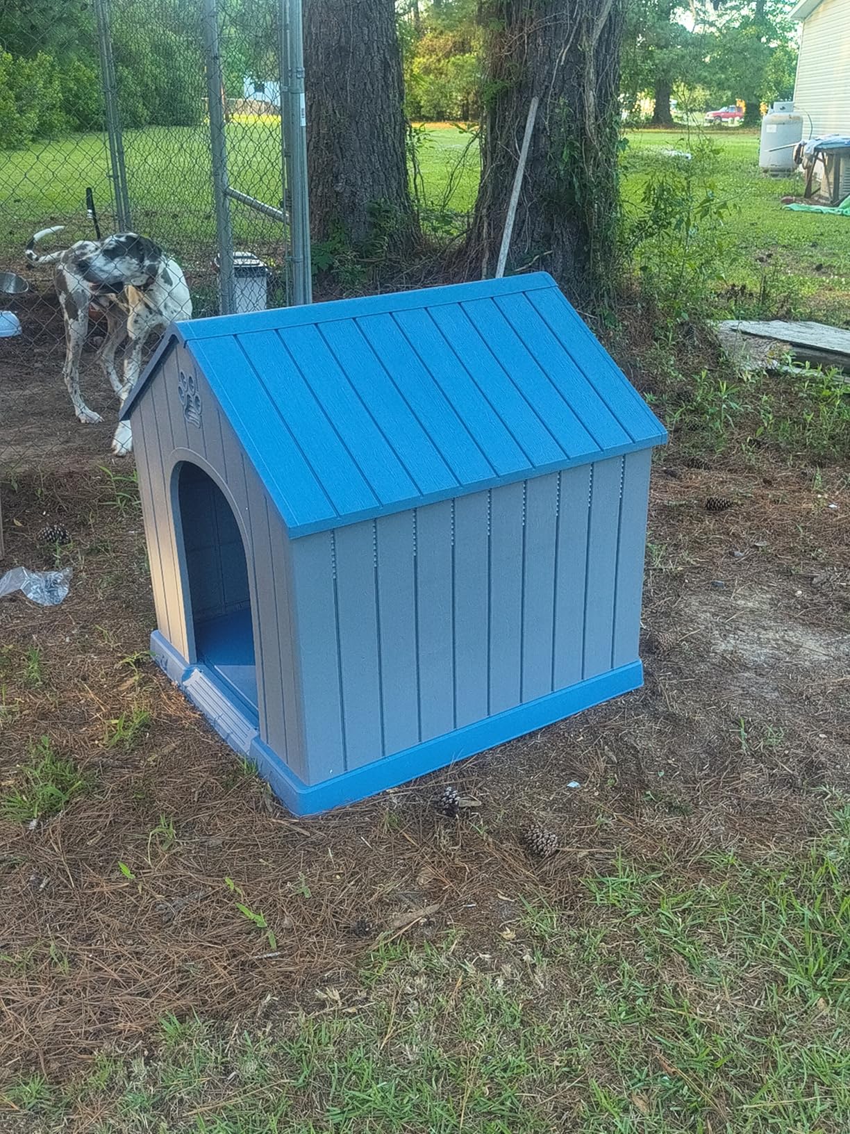 DRATO Large Dog House Indoor Outdoor Waterproof,Puppy Shelter with Air Vents and Elevated Floor,Sturdy Dog Kennel for Small to Large Sized Dogs, Easy to Assemble (Blue, 38.62×36.26×38.07 Inches) customer photo 1