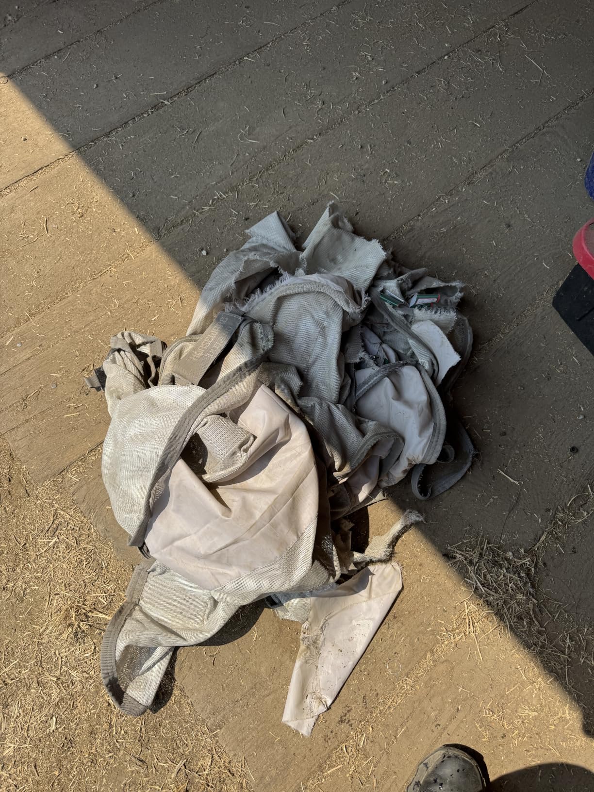 Horseware Amigo Integrated Fly Sheet - Silver/Titanium Grey & Silver, 78 customer photo 1