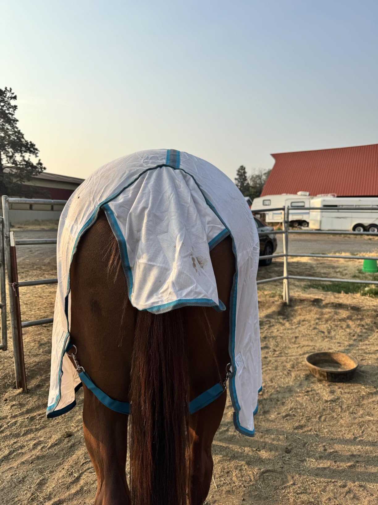 Horse Fly Sheet with Neck Cover & Belly Wrap, Fine Mesh Grey 81 | Breathable Fine Mesh, Detachable Neck & Belly Wrap, High Shoulder Gussets, Large Tail Flap, UV Protection, Pasture & Barn Use customer photo 1