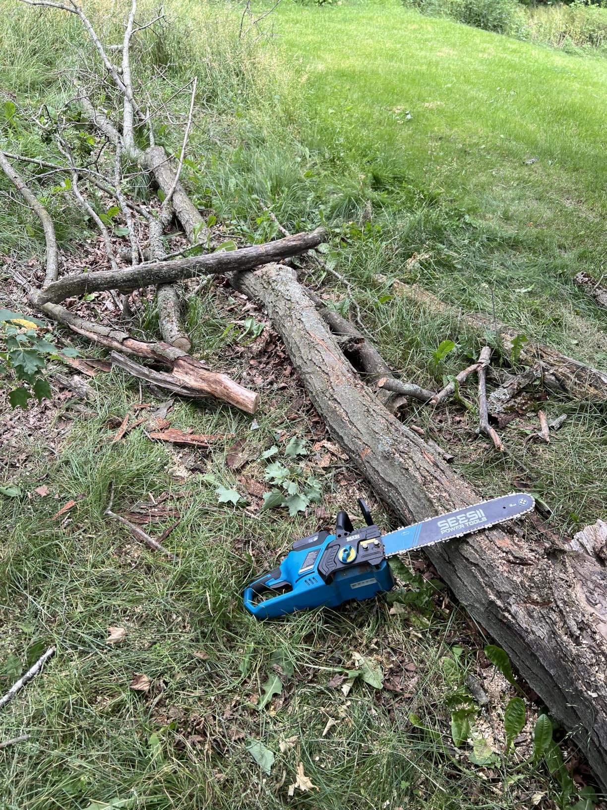SEESII 40V 16-Inch Cordless Electric Chainsaw,2000W Brushless Chain Saw customer photo 2