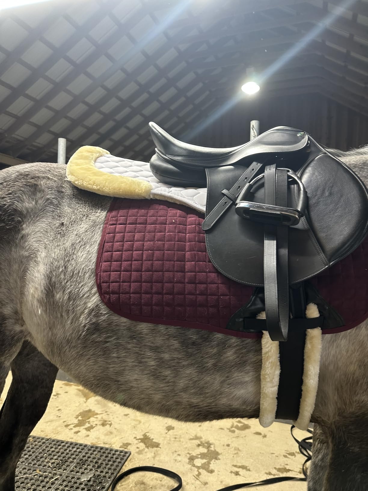 NDCKP Foam Half Pad for English Saddles - Shock-Absorbing Gel Saddle Pad for Dressage, Jumping & Training - Breathable, Non-Slip, Lightweight Horse Saddle Pad customer photo 2