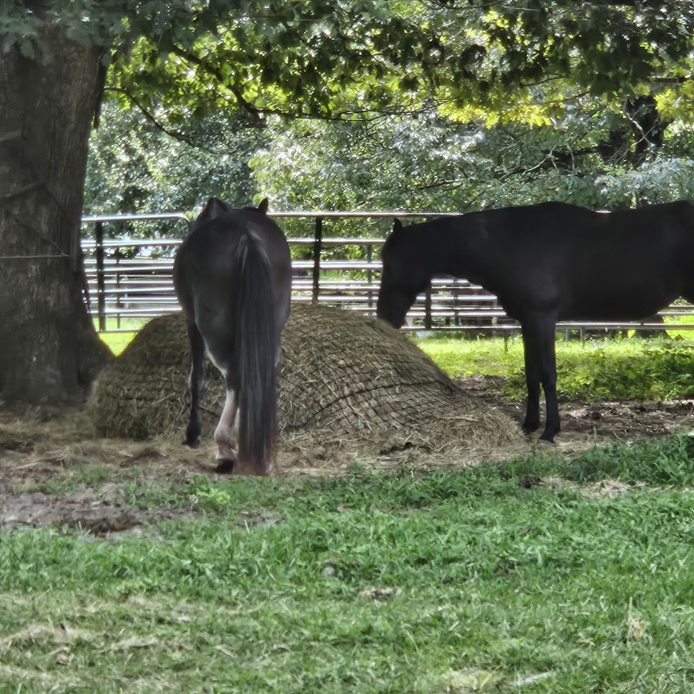 6x6 Ft Round Bale Hay Net for Horses - Knotless Slow Feeder Net with 2
