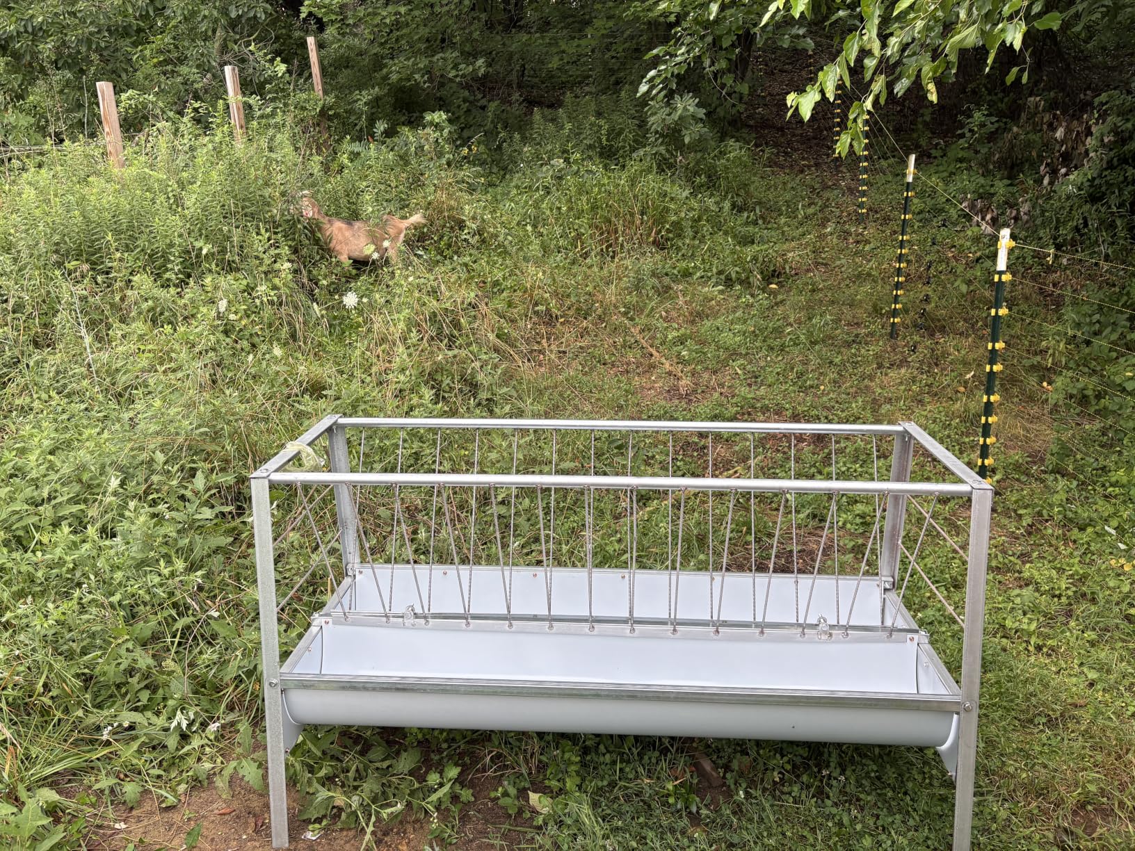 5 Ft Long Goat Hay Feeder, 96 Gallon Feeding Tray for Livestock Feeder, 2 in 1 Hay Feeder for Goats, Feeding Goats, Sheep and Ponies, for Farms, Sheep Sheds (Galvanized) customer photo 2