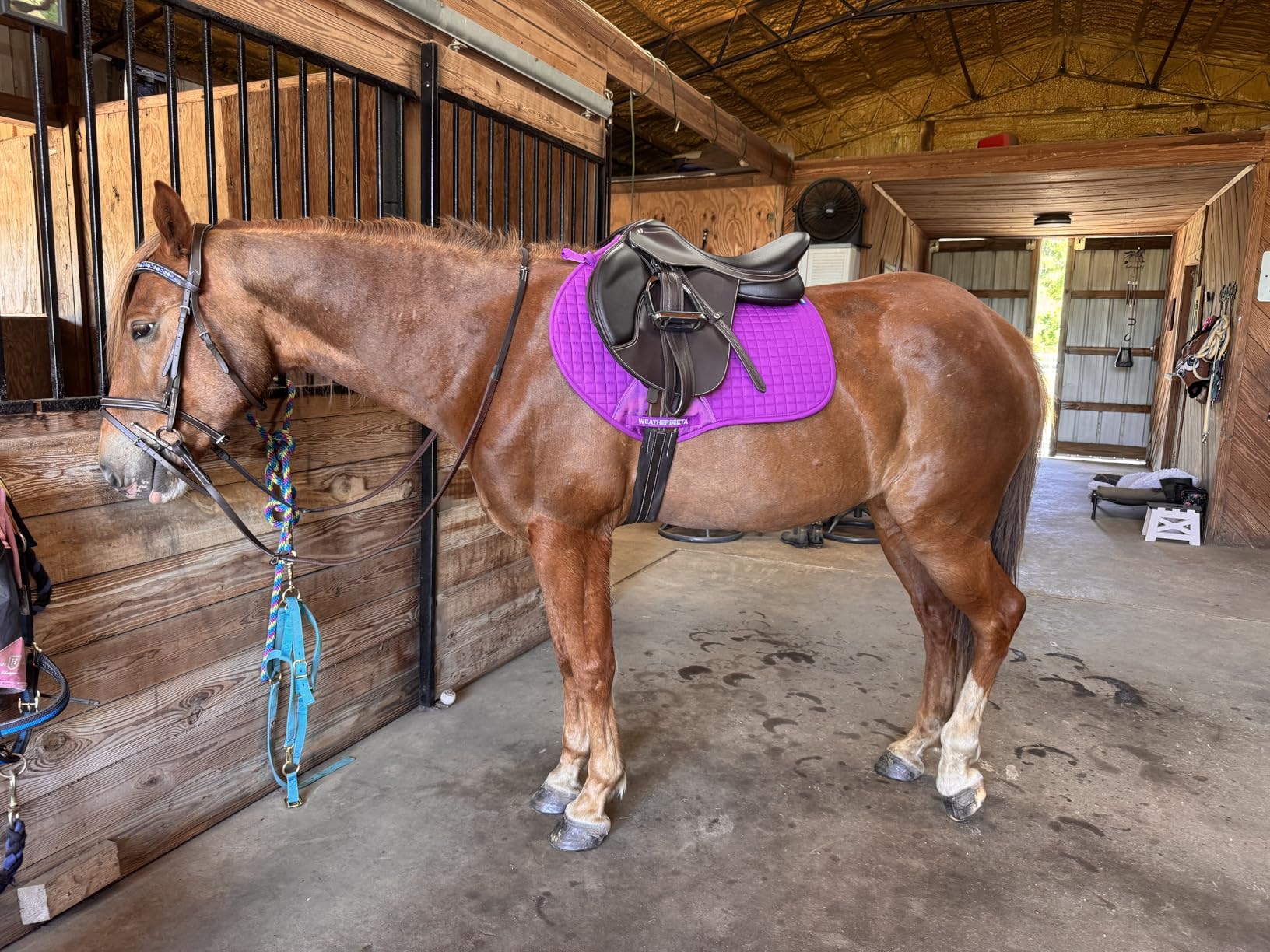 WeatherBeeta Prime Air-Tec Jump Shaped Saddle Pad customer photo 1