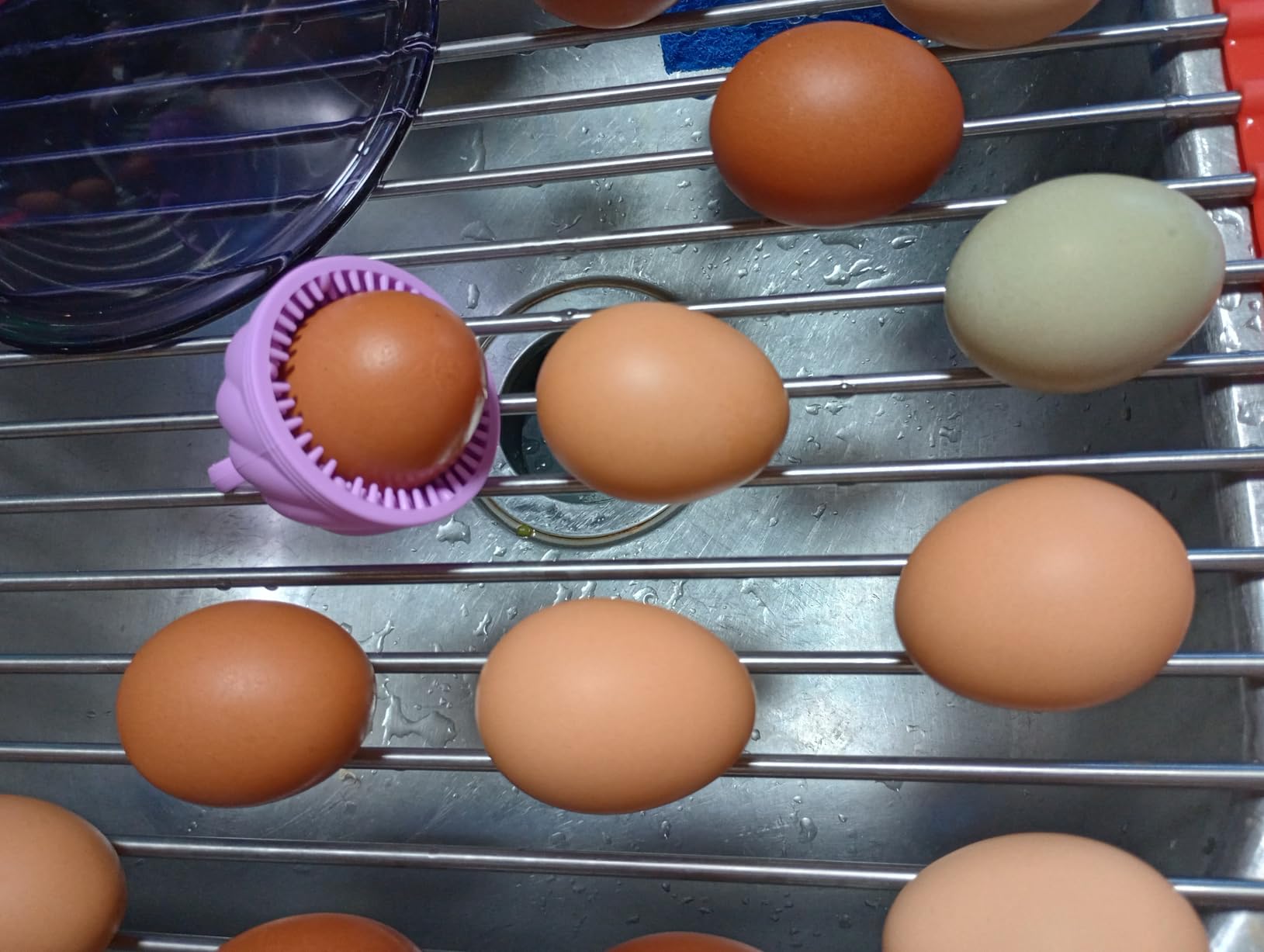 Egg Washer for Fresh Eggs - Upgraded 2.0 Silicone Egg Scrubber | Farm Fresh Egg & Vegetable Scrubber | Dishwasher Safe, Gentle on Shells (Green 2 Pcs) customer photo 1