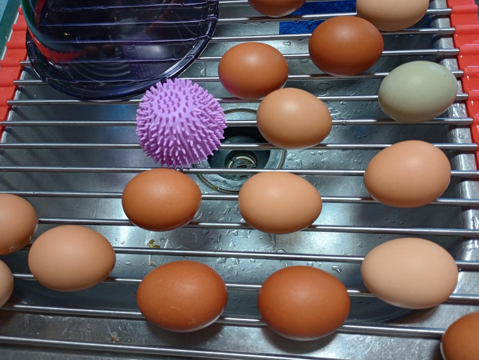 Egg Washer for Fresh Eggs - Upgraded 2.0 Silicone Egg Scrubber | Farm Fresh Egg & Vegetable Scrubber | Dishwasher Safe, Gentle on Shells (Green 2 Pcs) customer photo 2