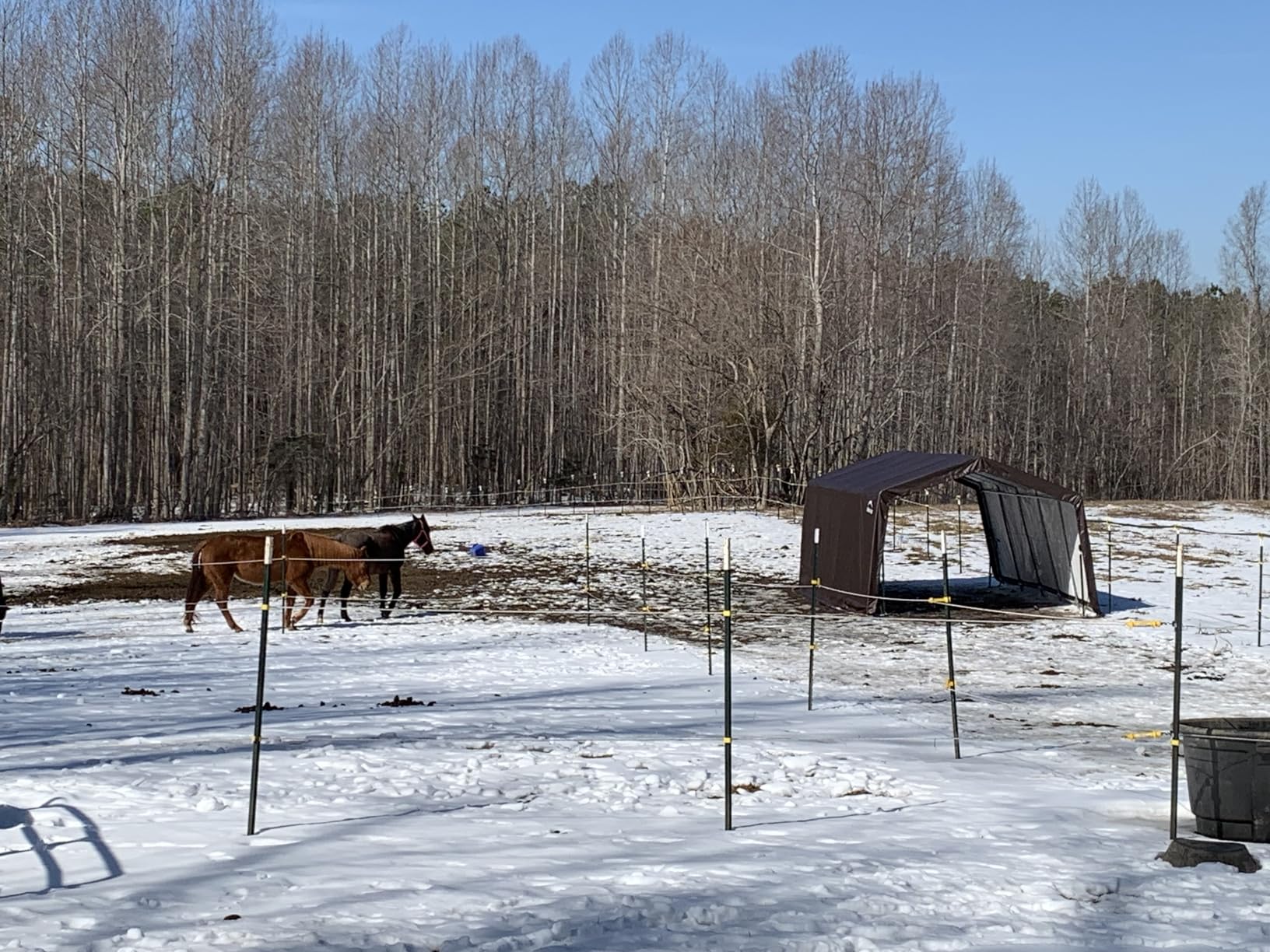 ShelterLogic 10' x 20' x 8' 3-in-1 Run-in Outdoor Animal Shelter with Waterproof Cover, All-Weather Outdoor Storage Shed for Animals, Agriculture, and Farm Equipment, Brown customer photo 2