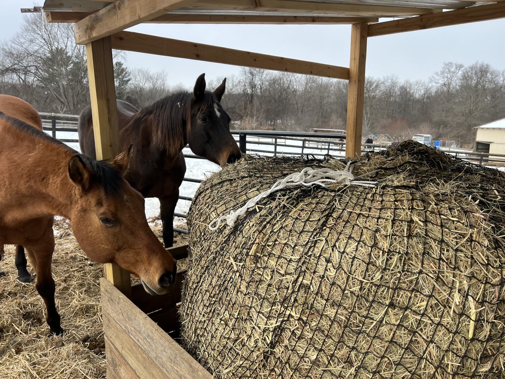 Dayimado Large Round Bale Hay Net, 6x6 Ft Sturdy Hay Net Slow Feed for Horses, Fits Round Bales 5x5-6x6 or Square Bales 3x3x8-4x4x8 with 1.5