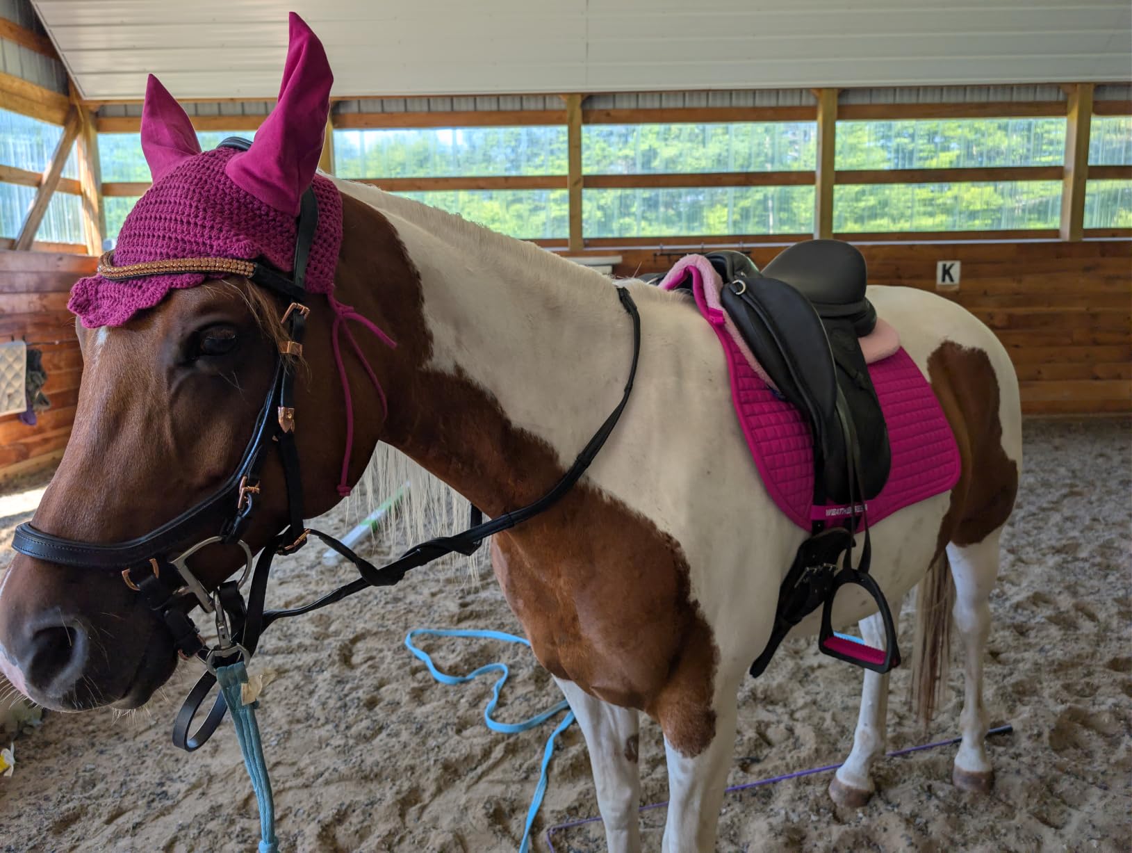 WeatherBeeta Prime Air-Tec Dressage Saddle Pad customer photo 1