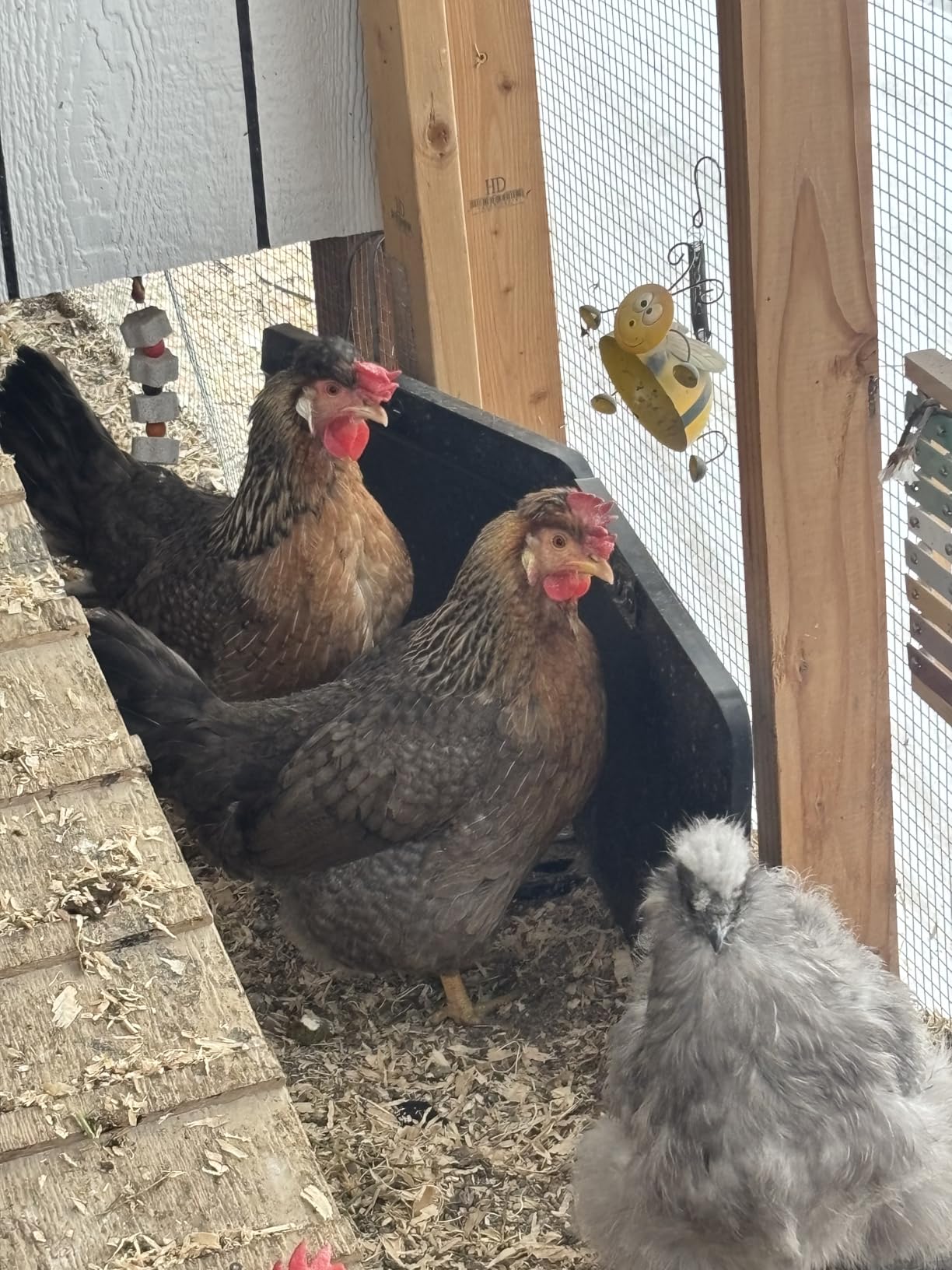 HOPOCO Smart Chicken Coop Heater with Efficient Thermostat, Compatible with Timers & Temp Controllers, 200W Safe Inside Radiant Flat Panel Warmer, Remote-Adjustable for Pets & Animals in Winter customer photo 2