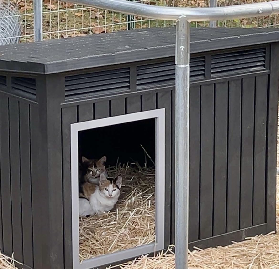 DRATO Outdoor Dog and Goat House - Resin All-Weather Dog House Outdoor, Durable Dog Kennel Outside for Backyard, Farm, Pasture customer photo 1
