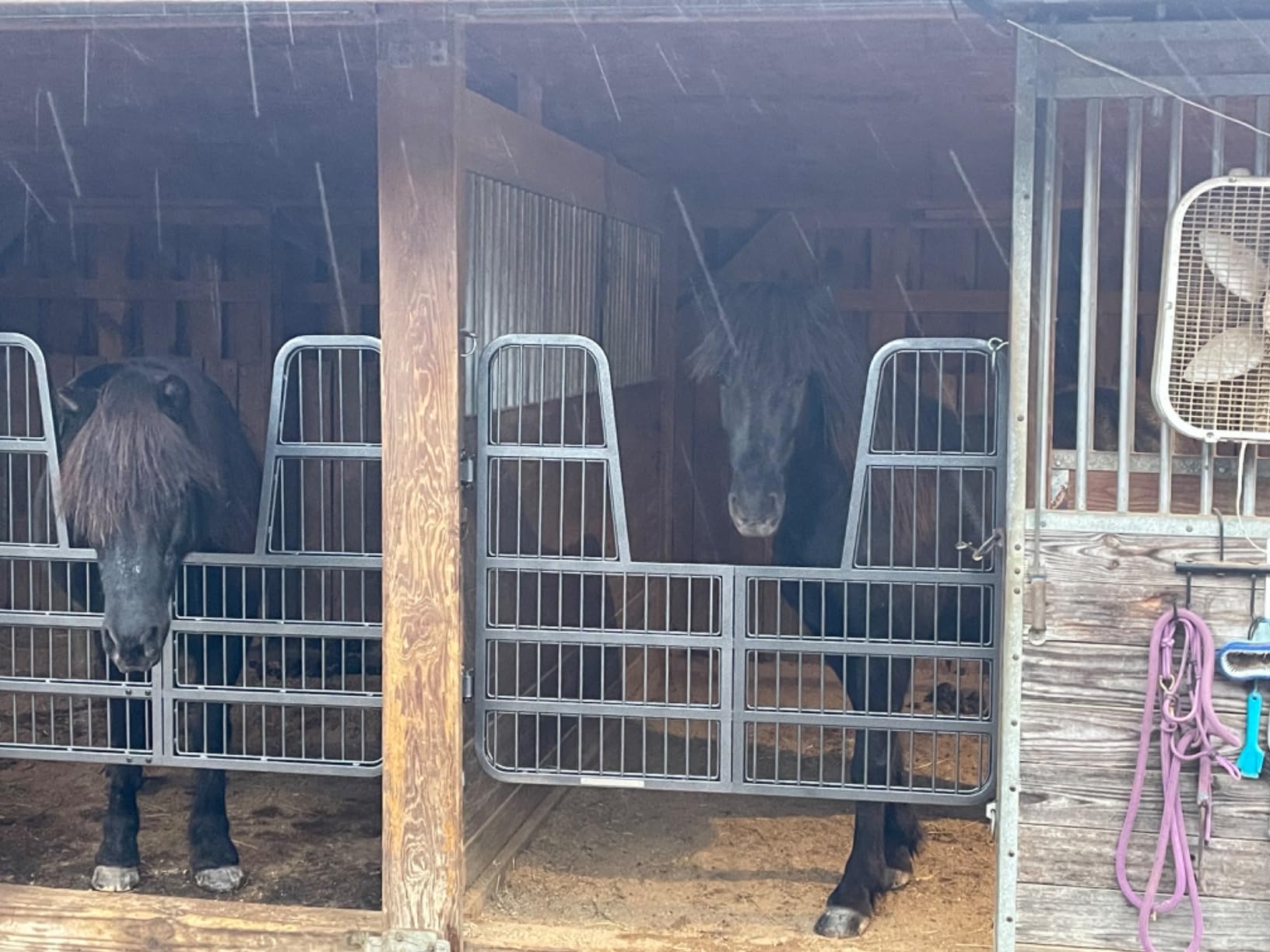 Easy-up Titan Horse Stall Gates | Heavy-Duty Steel Construction | Rust-Resistant Finish | Ideal for Barn, Farm & Equestrian Use | Gate with Yoke - 48