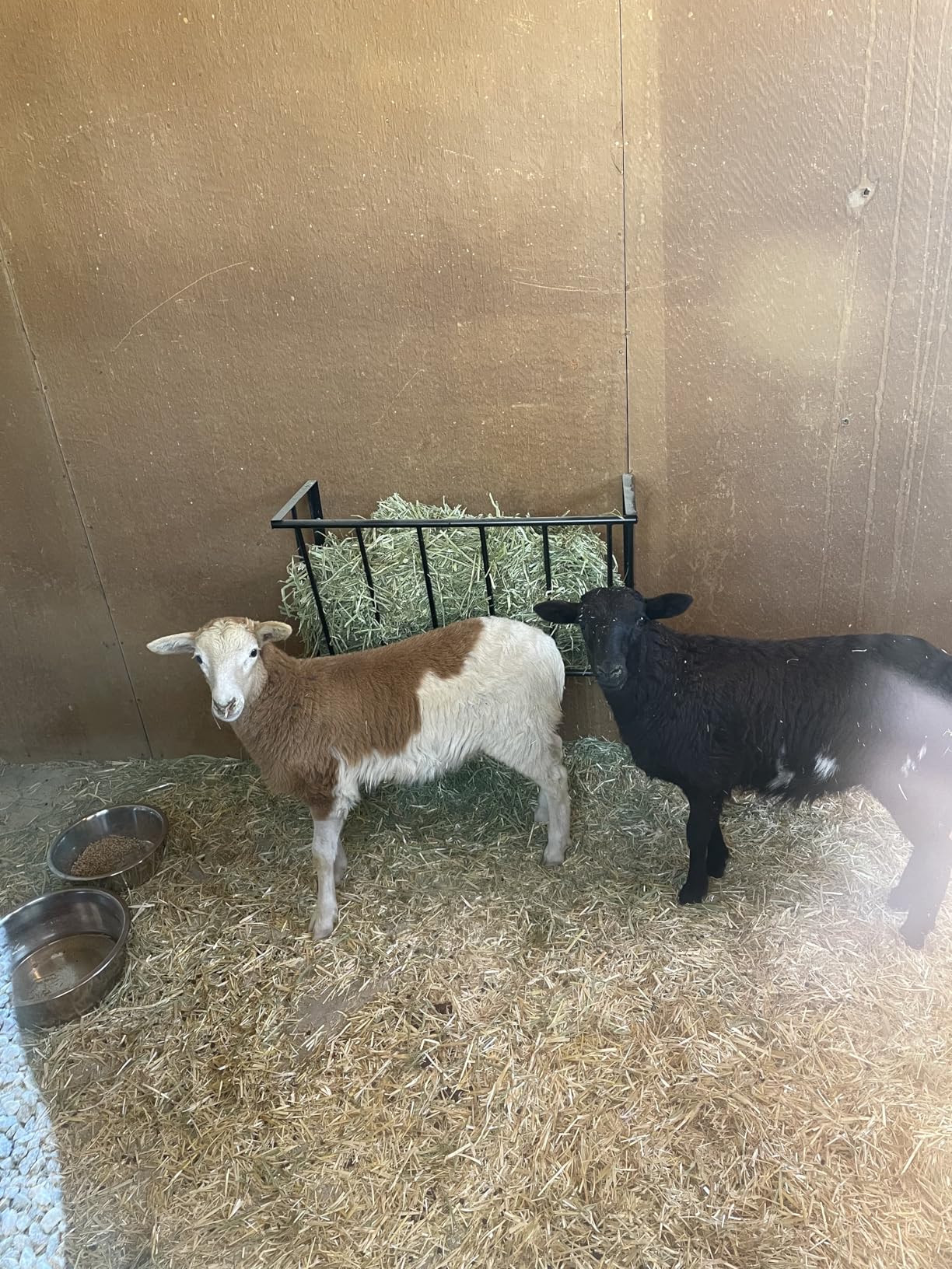 Hay Rack Wall Mount- 27